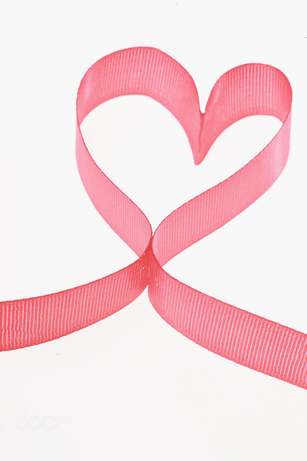 Canon EOS 5D + Tamron SP AF 90mm F2.8 Di Macro sample photo. Valentine photography