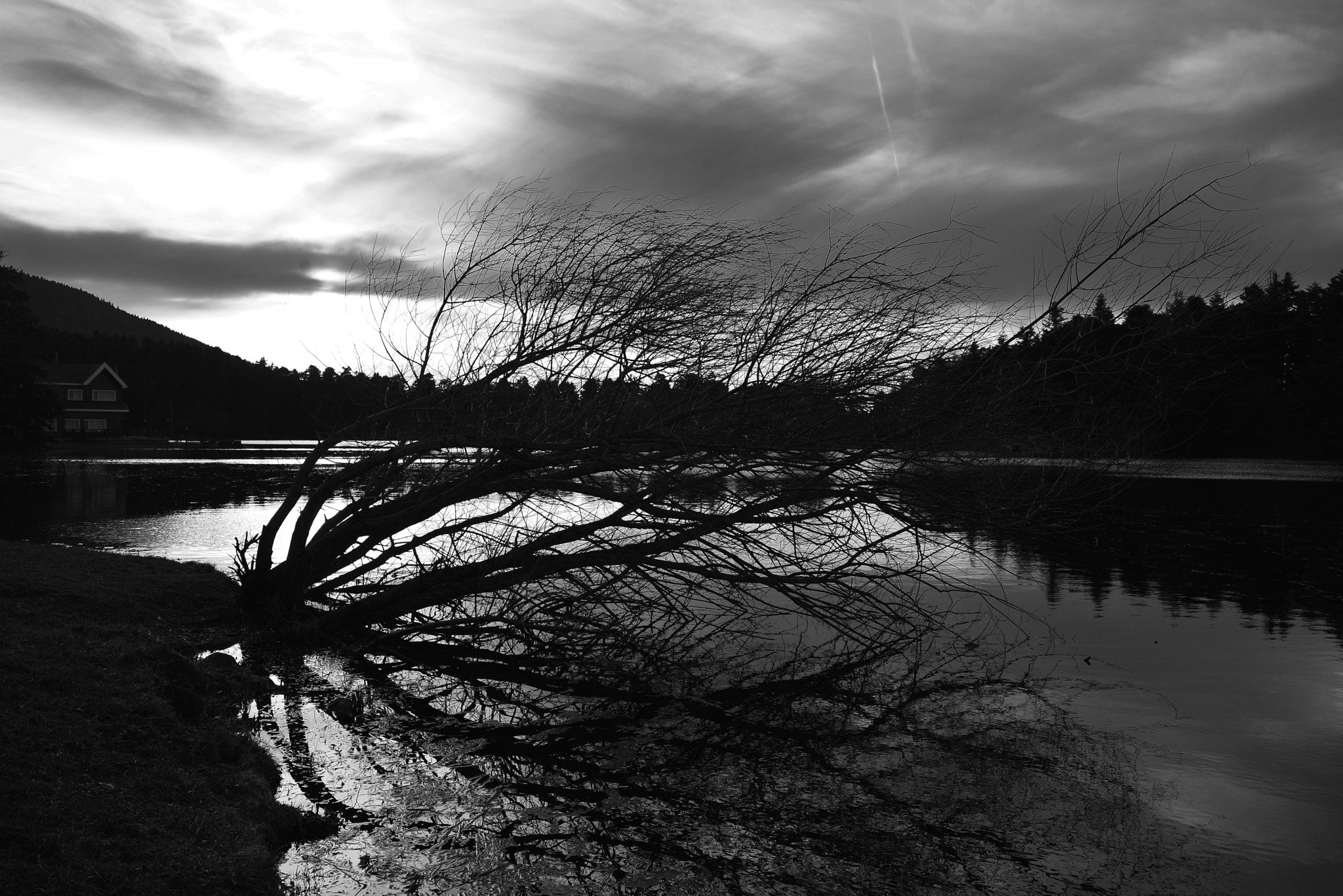 AF Zoom-Nikkor 28-80mm f/3.3-5.6G sample photo. Lake photography