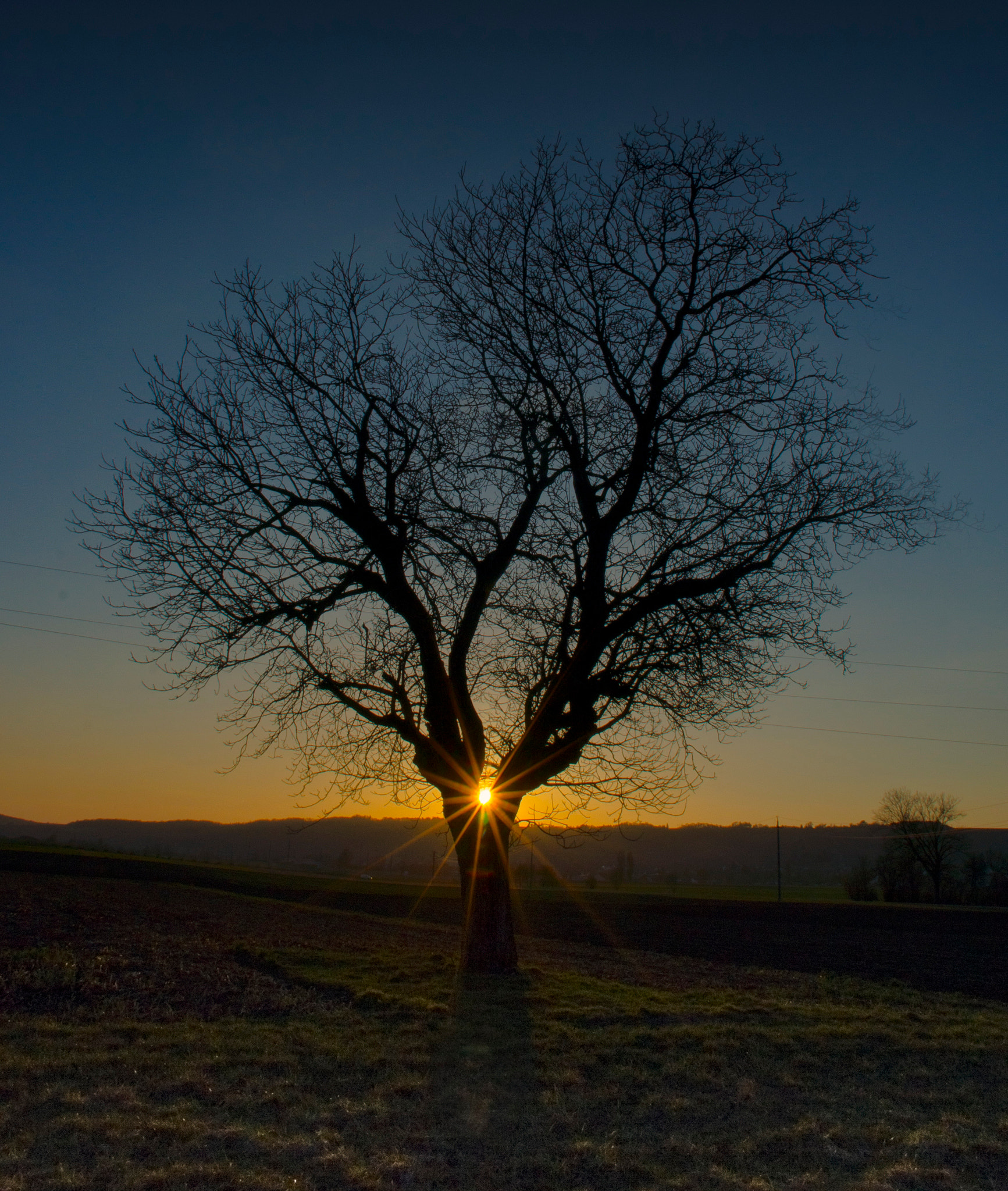 Sony SLT-A77 + Sigma 18-200mm F3.5-6.3 DC sample photo. Dsc04189.jpg photography