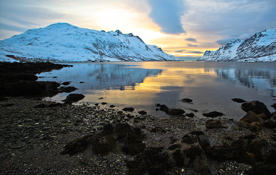 Canon EOS 5D Mark II + Sigma 14mm f/2.8 EX Aspherical HSM sample photo. Ersfjordbotn tromsø norway photography