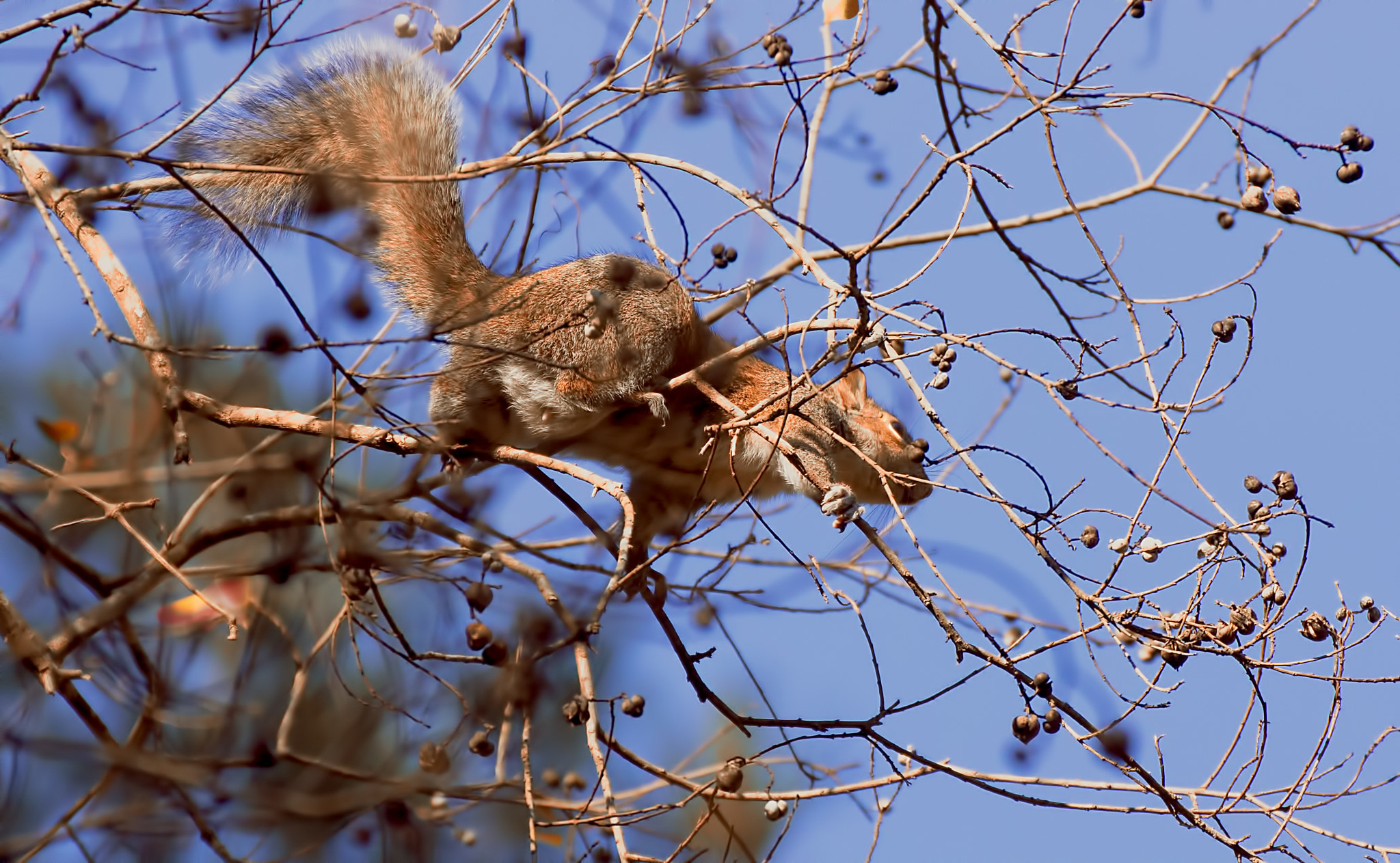 Sony Alpha DSLR-A580 sample photo. Walking sky photography