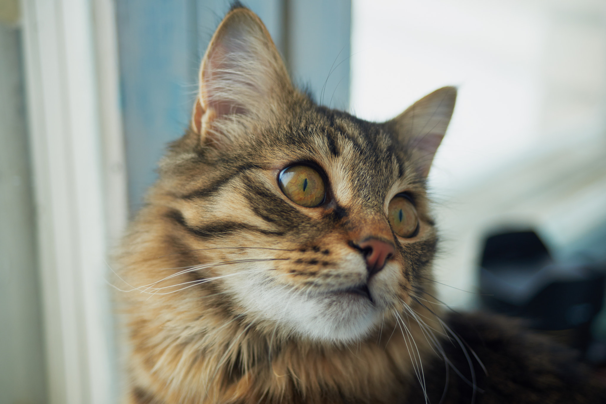 35-70mm F4 sample photo. Marquis_v5 photography