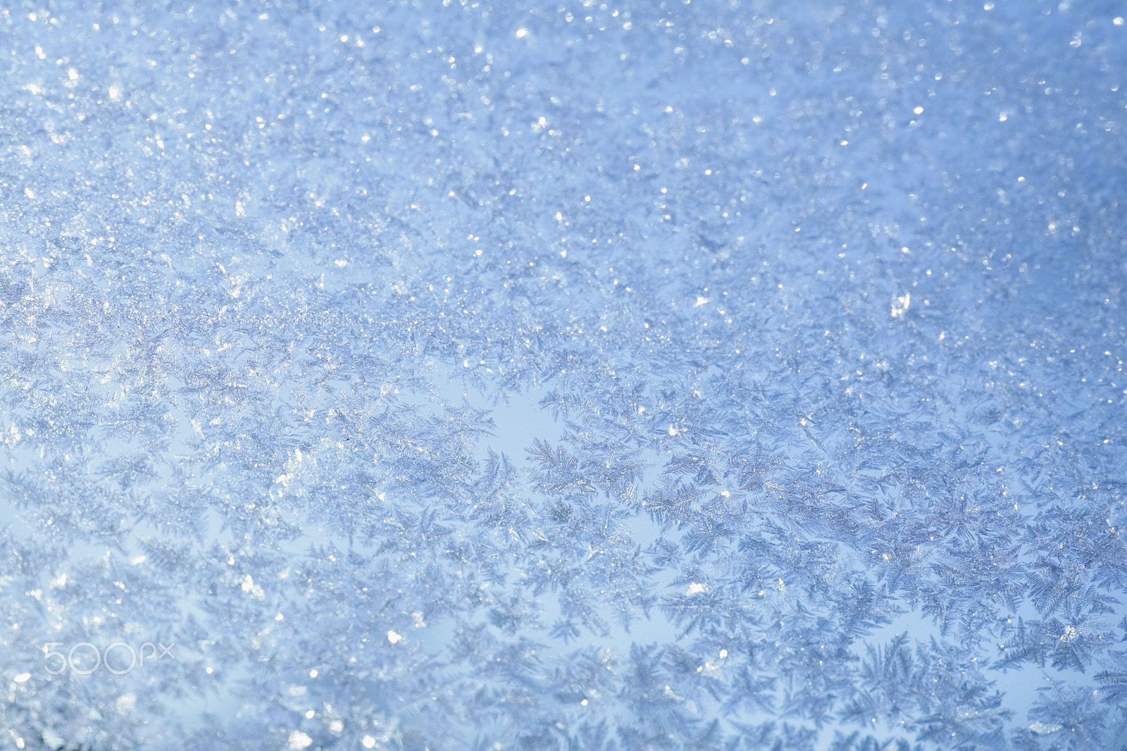 Canon EOS 5D + Tamron SP AF 90mm F2.8 Di Macro sample photo. Evening blue frost pattern photography