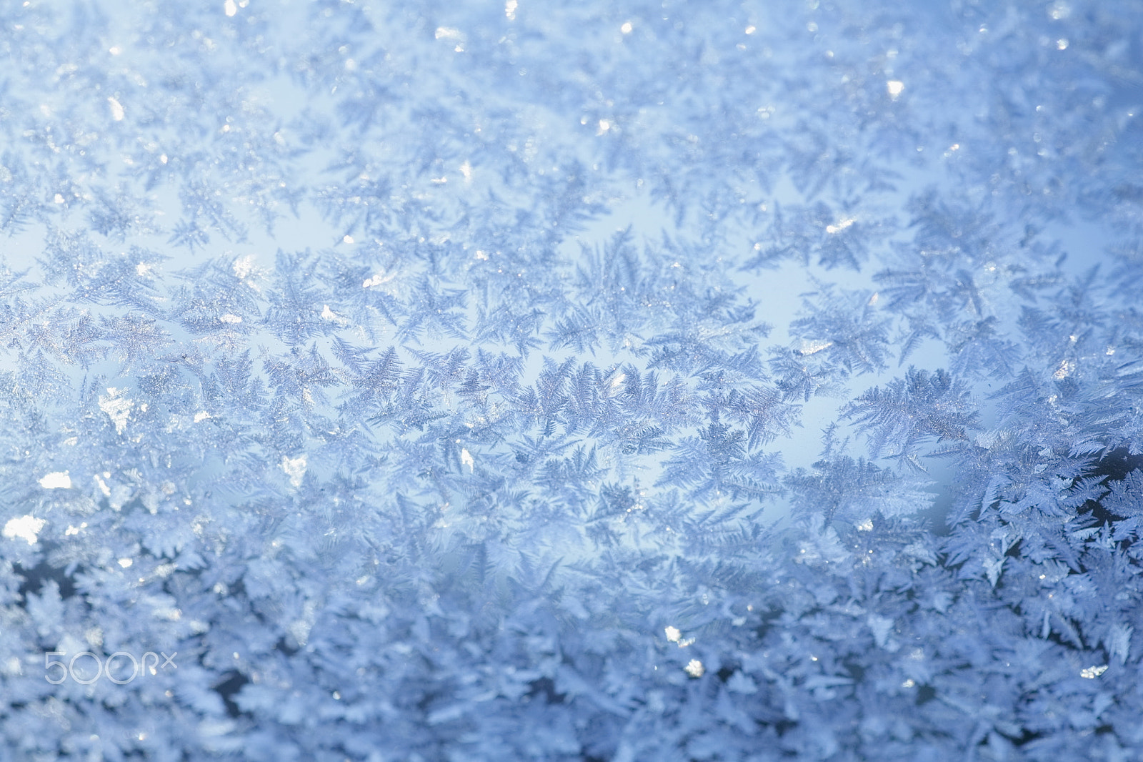 Canon EOS 5D + Tamron SP AF 90mm F2.8 Di Macro sample photo. Evening blue frost pattern photography