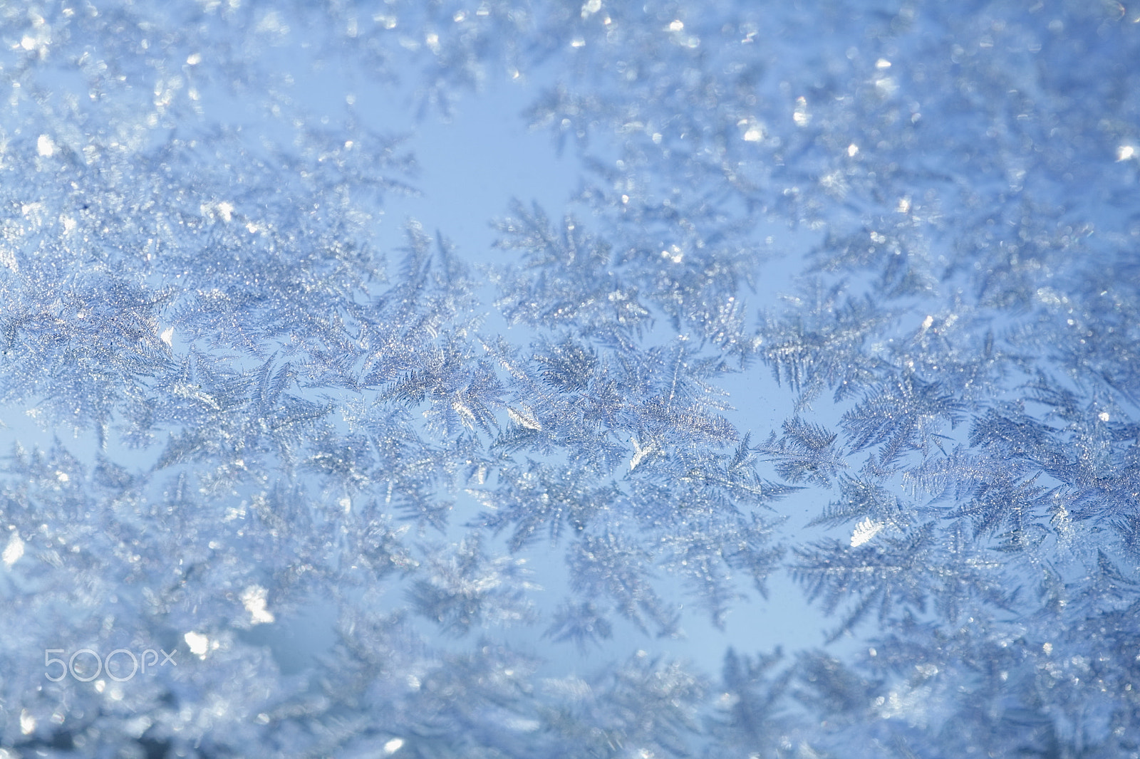 Canon EOS 5D + Tamron SP AF 90mm F2.8 Di Macro sample photo. Evening blue frost pattern photography