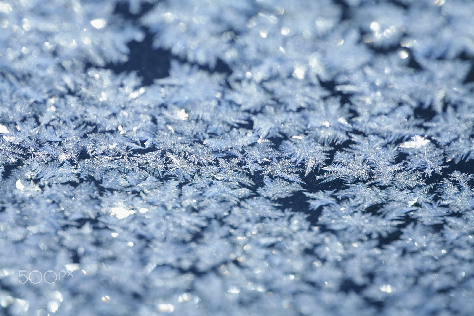 Canon EOS 5D + Tamron SP AF 90mm F2.8 Di Macro sample photo. Evening blue frost pattern photography