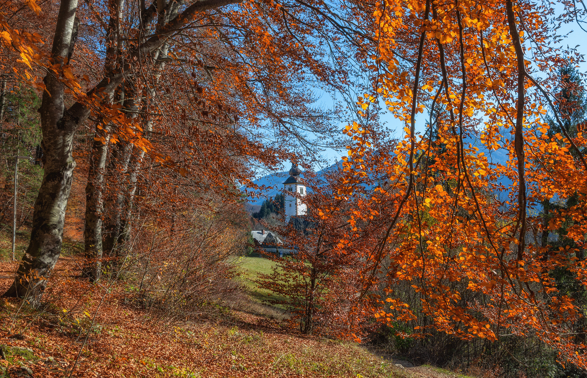 Pentax K-5 IIs + Pentax smc DA 21mm F3.2 AL Limited sample photo. Sunny autumn day at lake bohinj photography