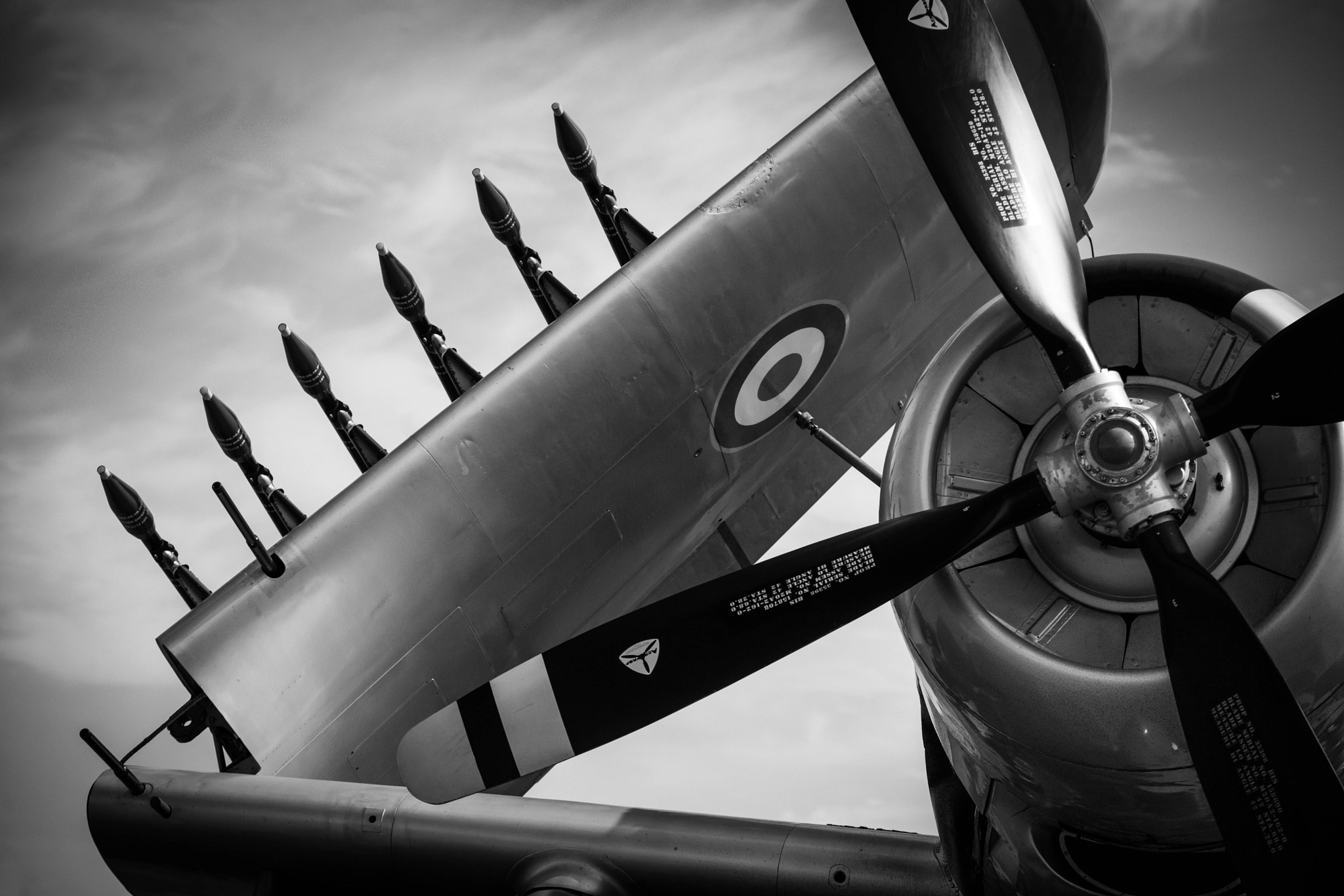 Nikon D3X sample photo. French skyraider photography