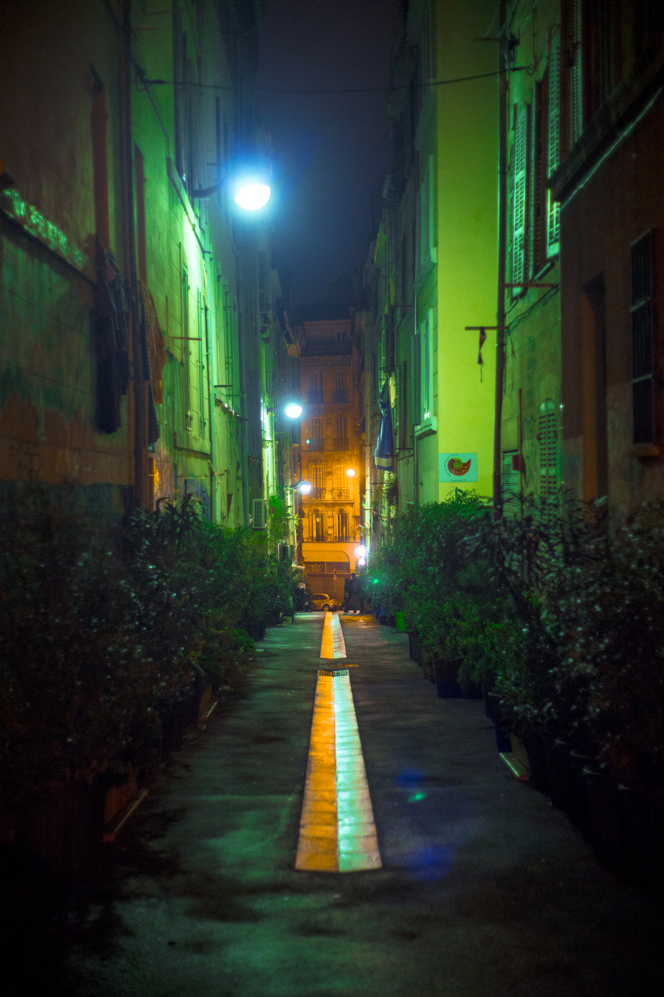 Sony a99 II + Minolta AF 50mm F1.7 sample photo. Orange and green photography