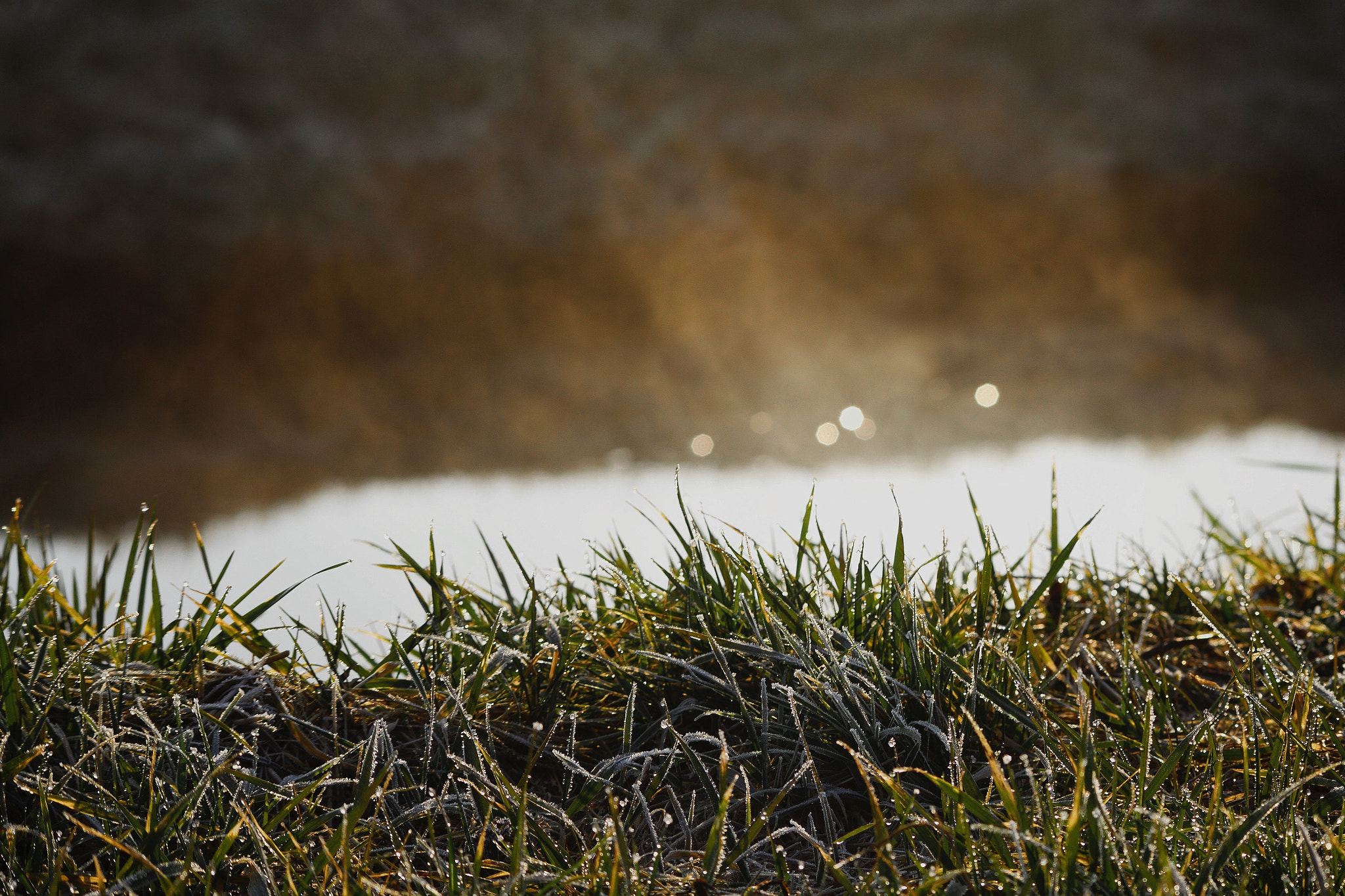 Canon EF 100-300mm F4.5-5.6 USM sample photo. Fresh smell of march photography