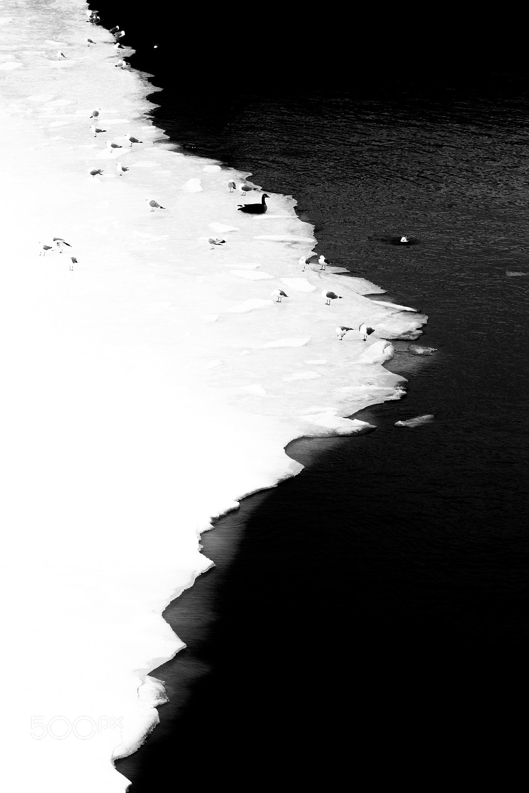 Canon EF 70-200mm F2.8L USM sample photo. Montrealcanada.jpg photography