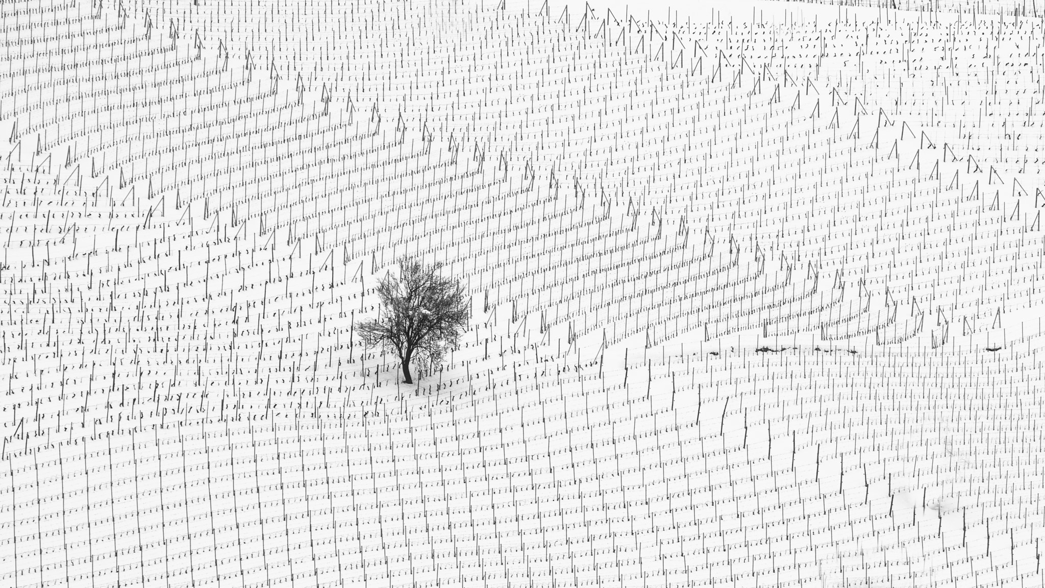 Nikon Nikkor AF-S 300mm F4E PF ED VR sample photo. Essential winter 4 photography