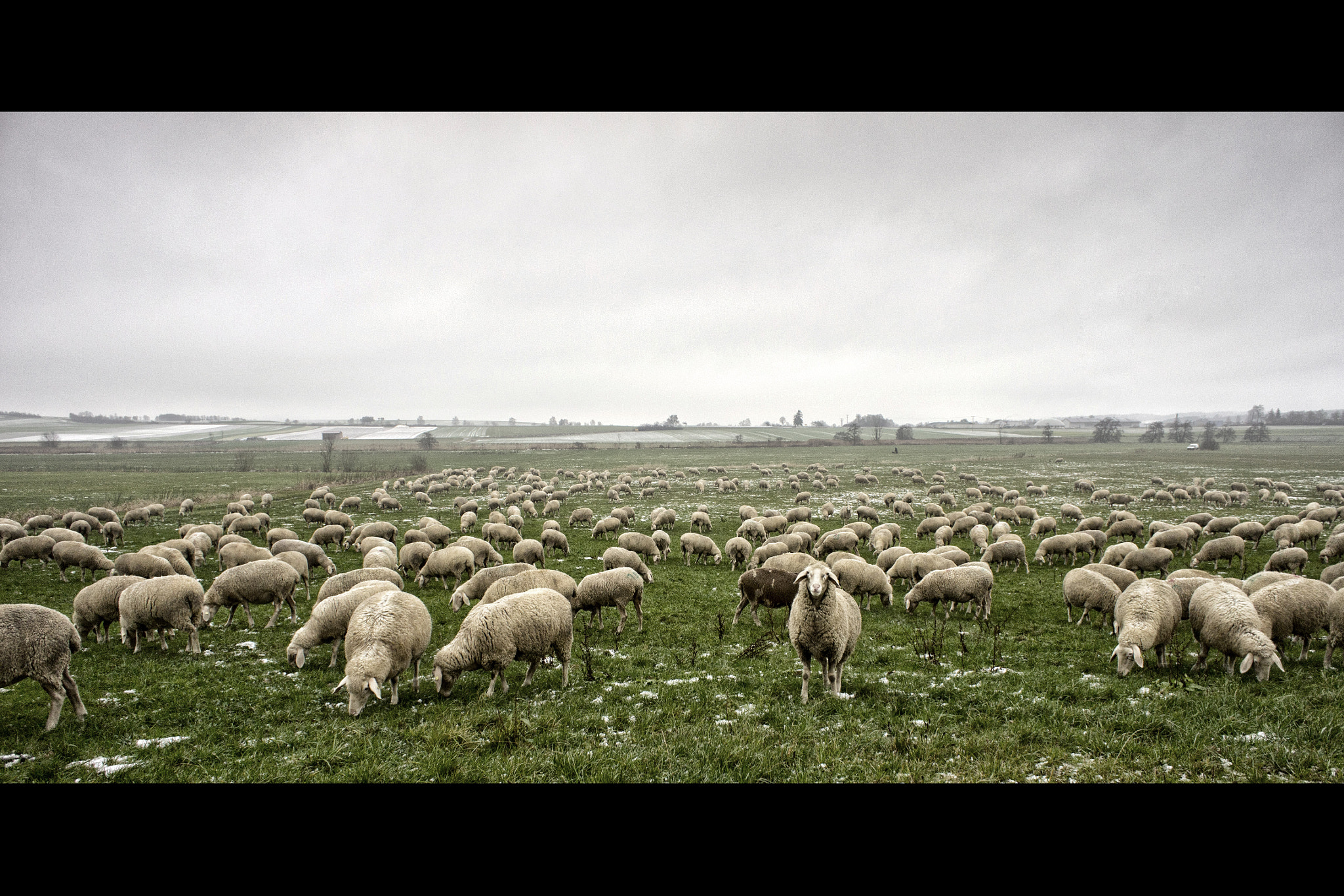 Sony Alpha NEX-3 + Sony E 16mm F2.8 sample photo. Bayern photography