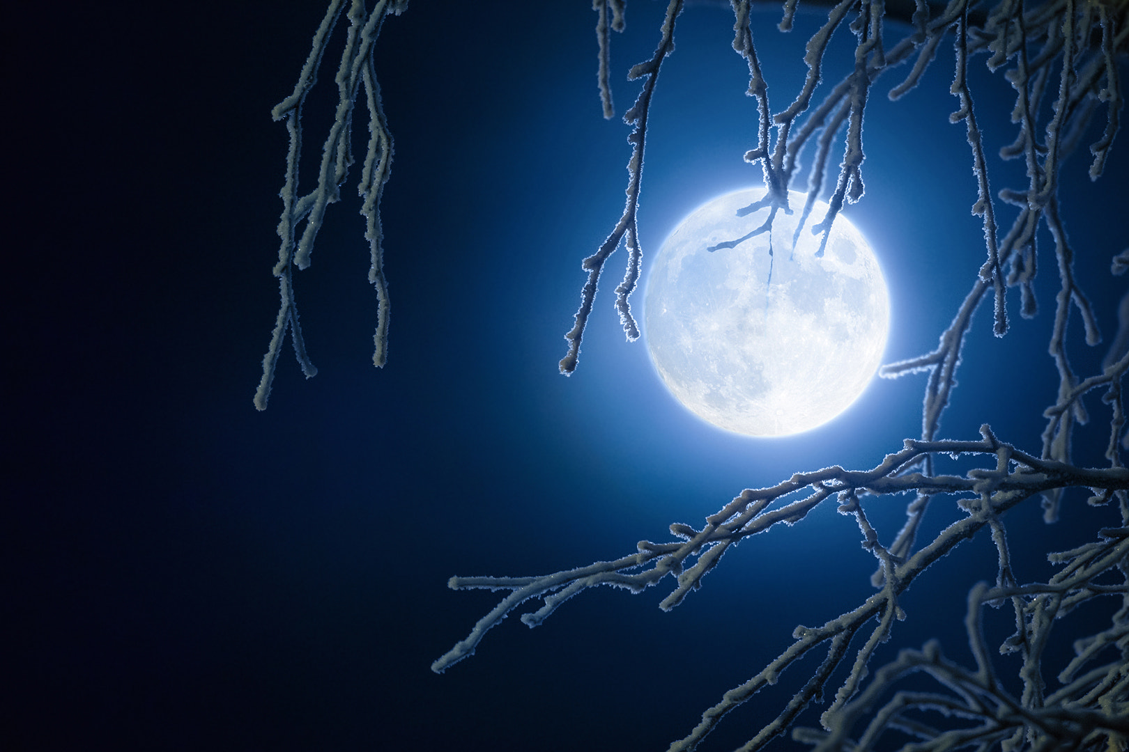 Canon EF 100-400mm F4.5-5.6L IS II USM sample photo. Full moon of christmas 2015 photography