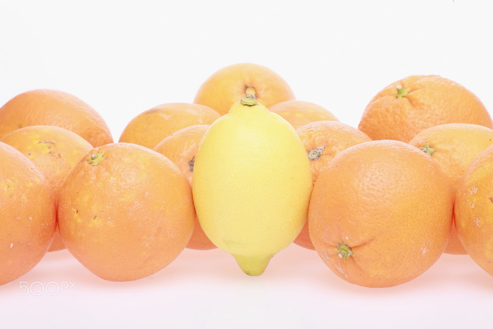 Canon EOS 5D + Tamron SP AF 90mm F2.8 Di Macro sample photo. Oranges photography