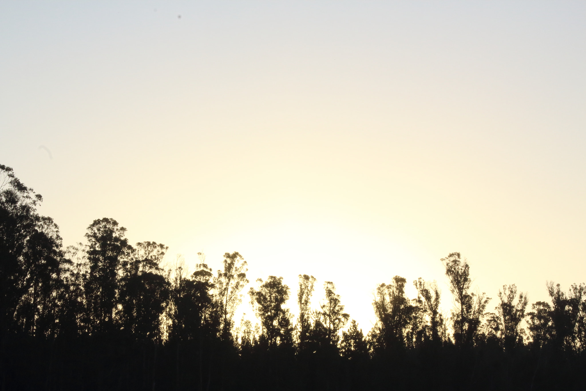 Canon EF 35-80mm f/4-5.6 sample photo. :3 photography