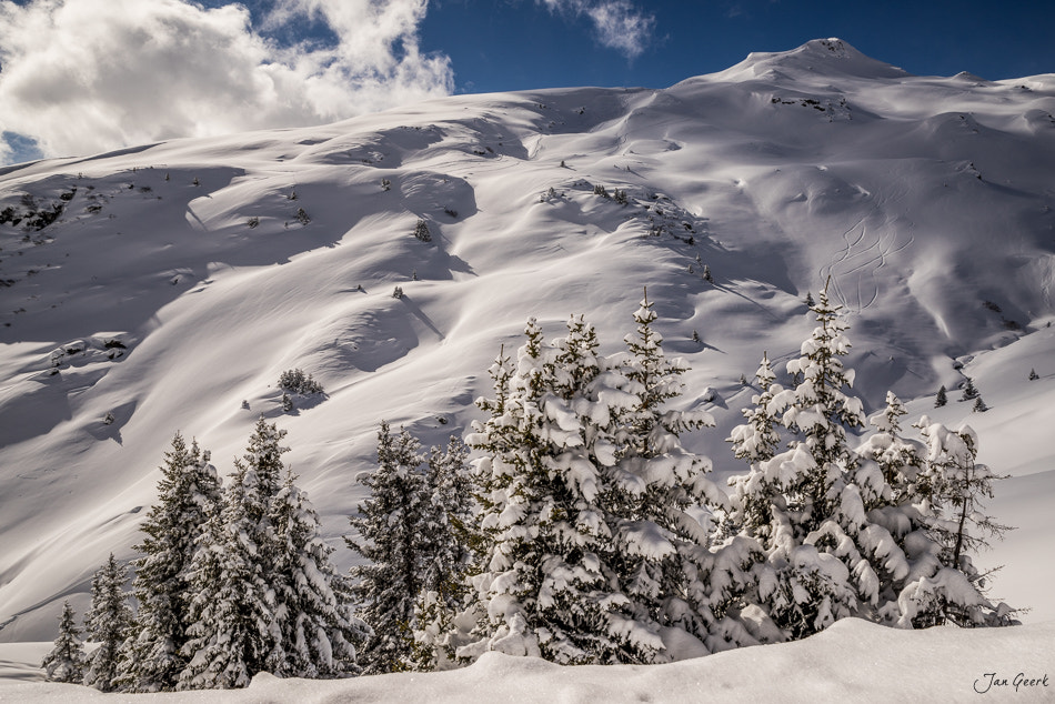 24-70mm F2.8 G SSM II sample photo. Winter light and magic photography