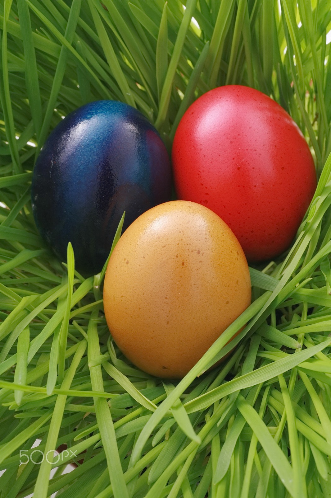 Canon EOS 5D + Tamron SP AF 90mm F2.8 Di Macro sample photo. Easter egg photography