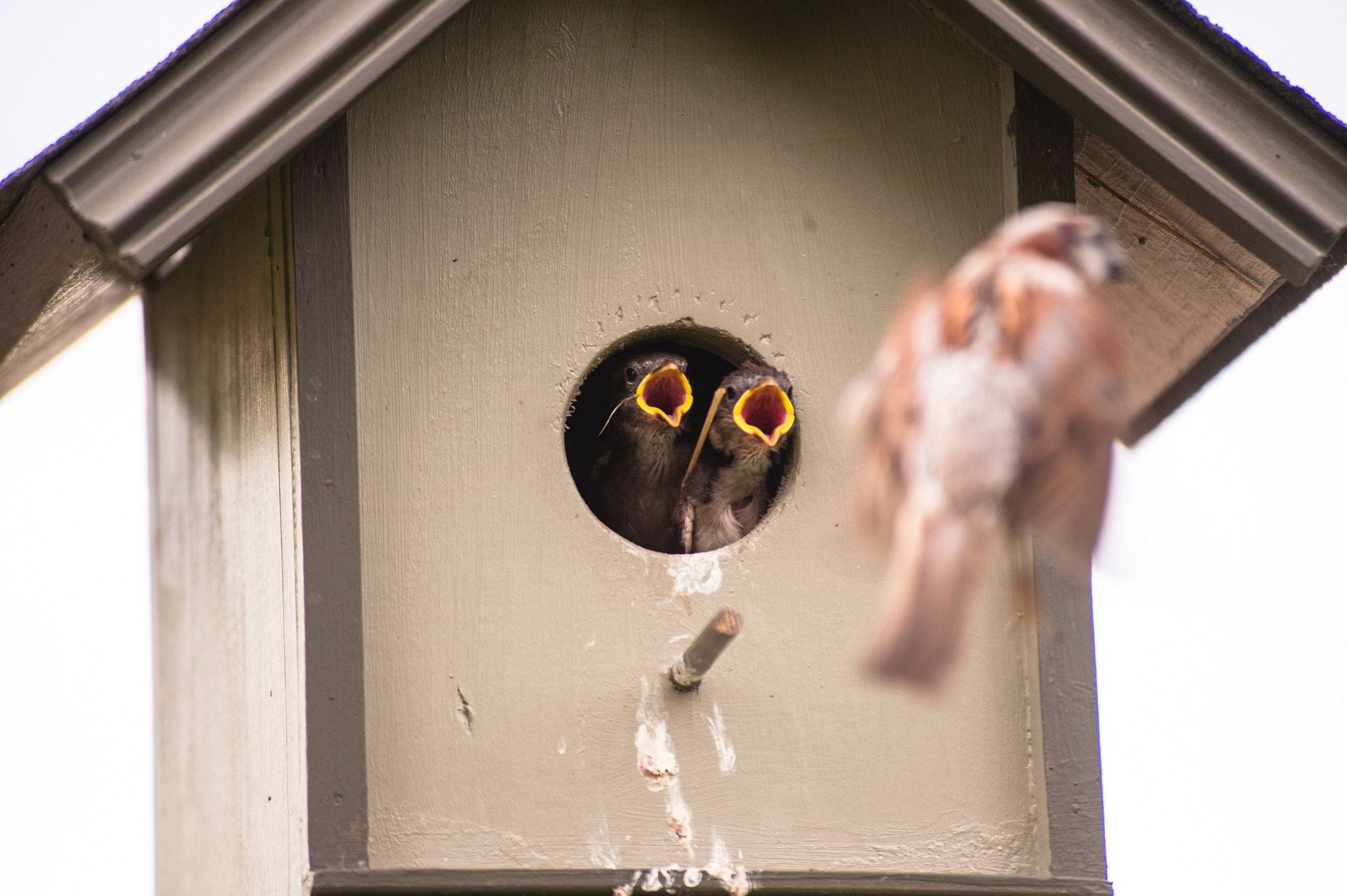 Nikon D3 sample photo. Parenting can be tough sometimes photography