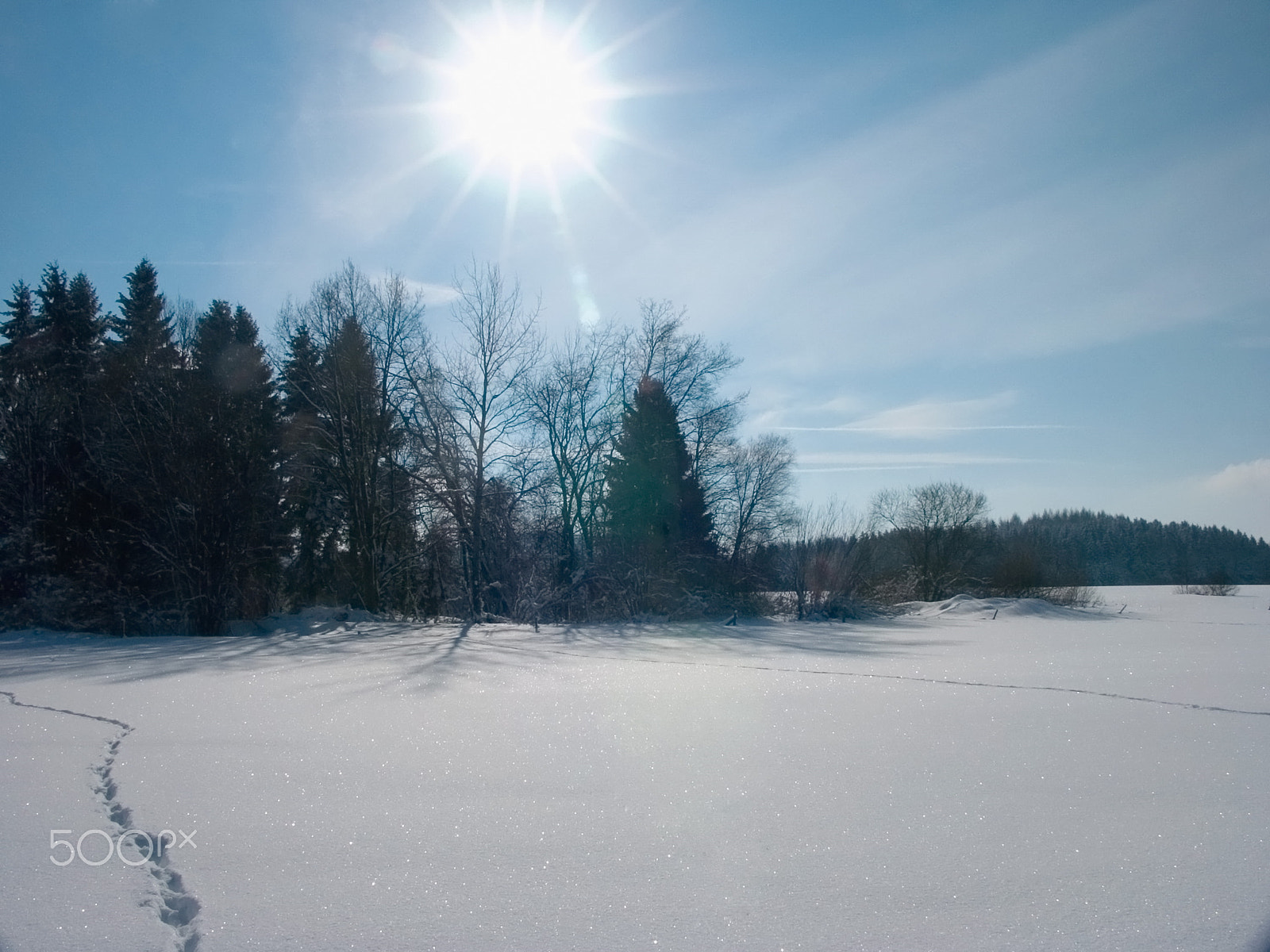 KONICA MINOLTA DiMAGE 7Hi sample photo. Winter photography