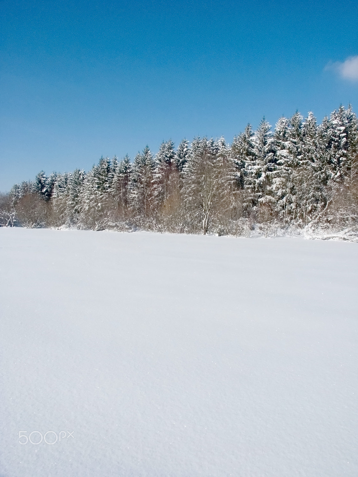 KONICA MINOLTA DiMAGE 7Hi sample photo. Winter photography