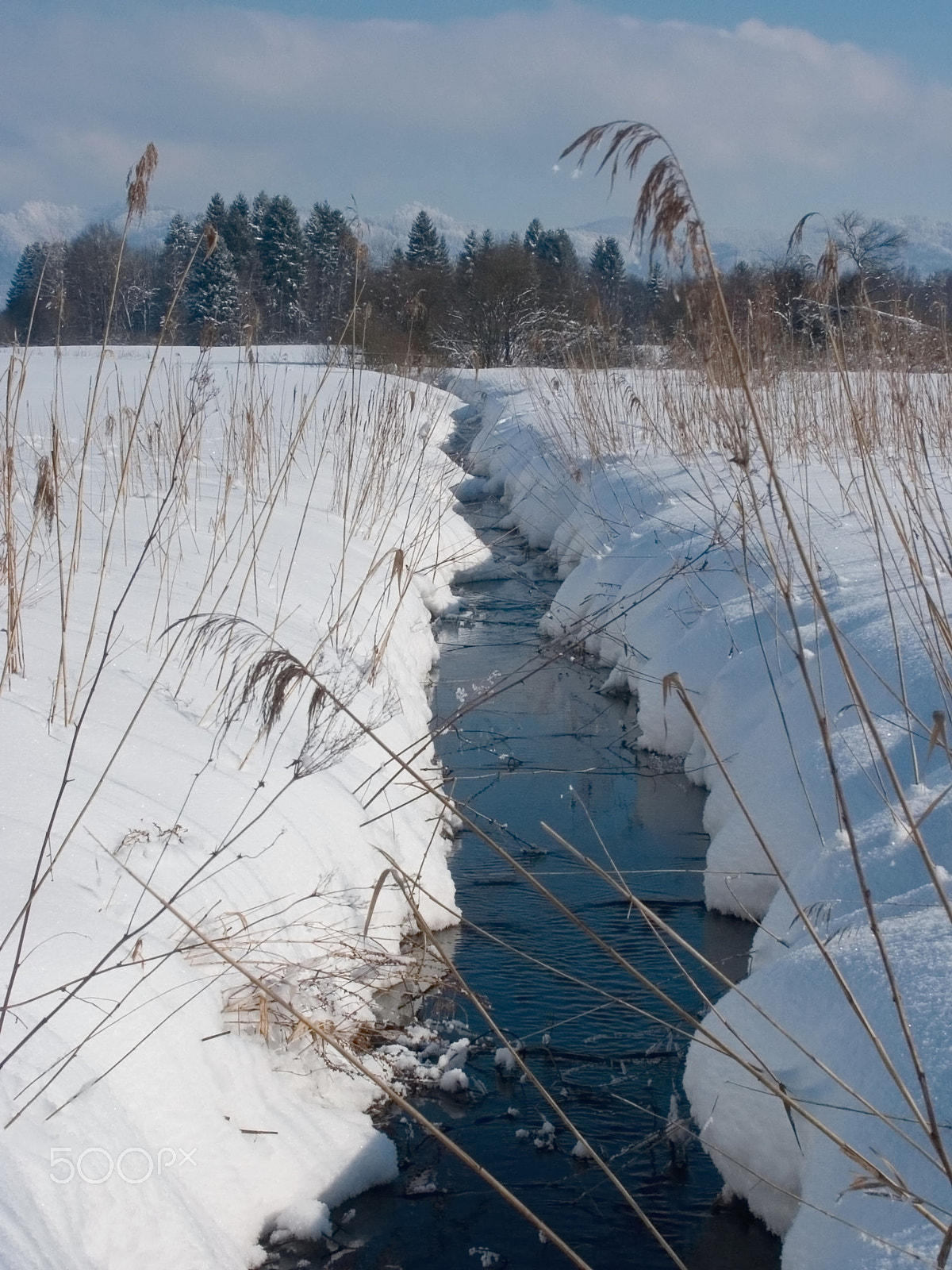 KONICA MINOLTA DiMAGE 7Hi sample photo. Winter photography