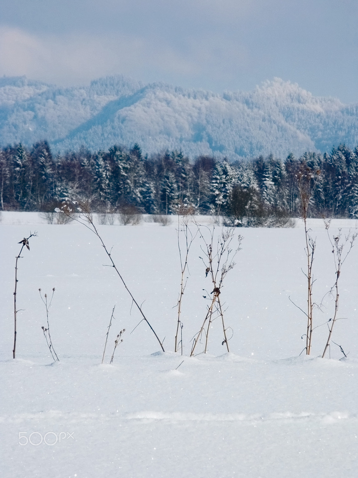 KONICA MINOLTA DiMAGE 7Hi sample photo. Winter photography