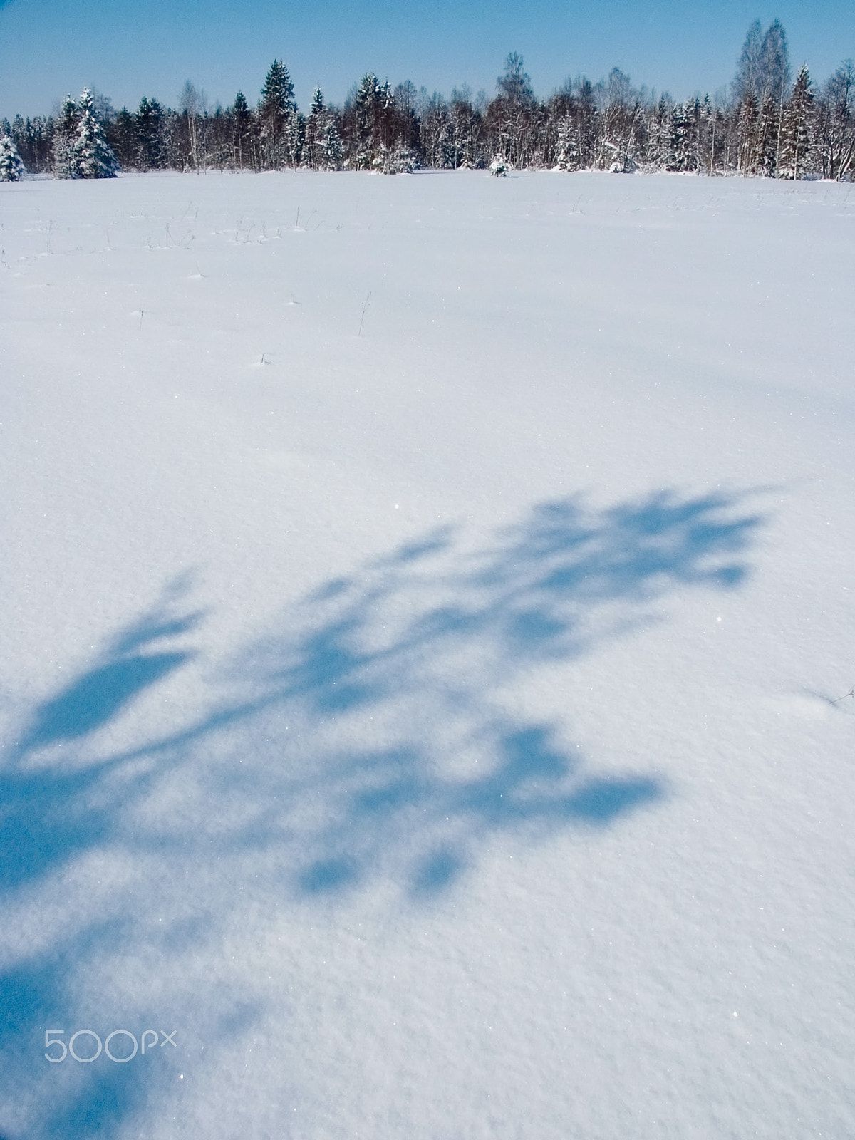 KONICA MINOLTA DiMAGE 7Hi sample photo. Winter photography