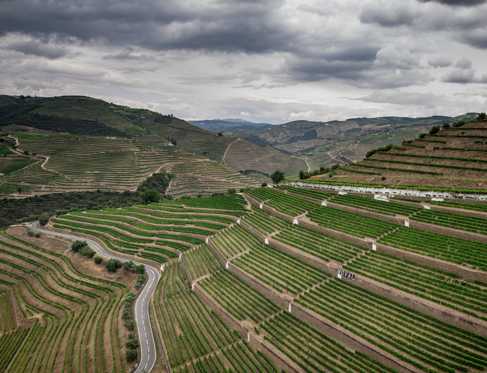 Sigma 10-20mm F3.5 EX DC HSM sample photo. Wines of portugal - douro valley photography