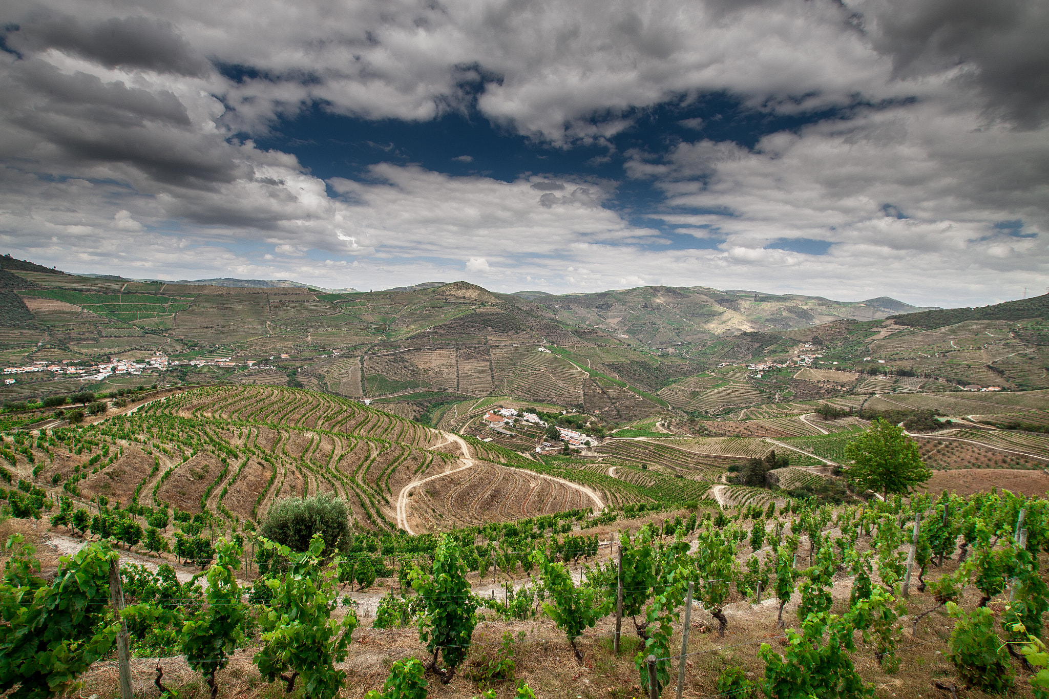 Sigma 10-20mm F3.5 EX DC HSM sample photo. Wines of portugal - douro valley photography