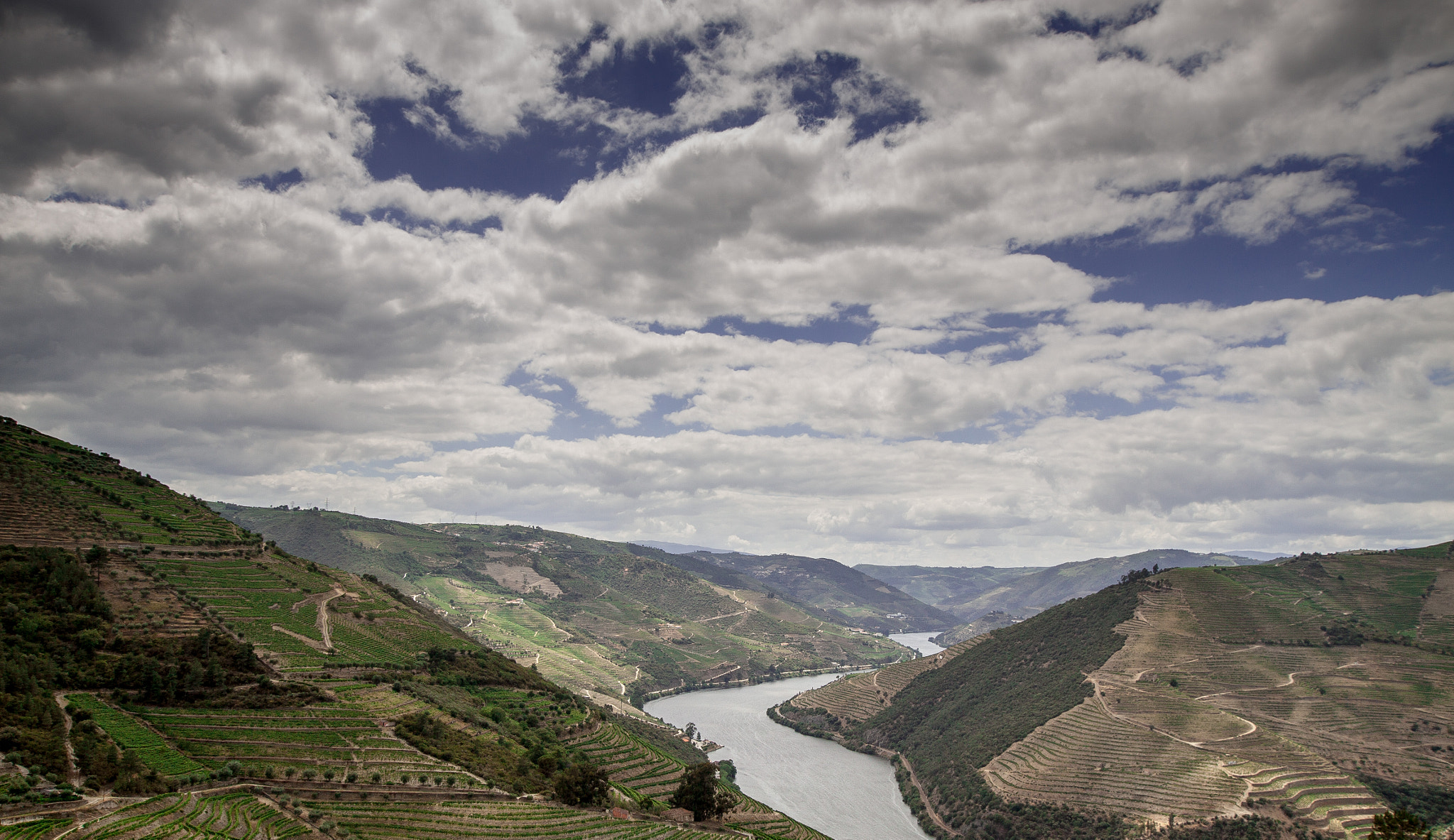 Sigma 10-20mm F3.5 EX DC HSM sample photo. Wines of portugal - douro valley photography