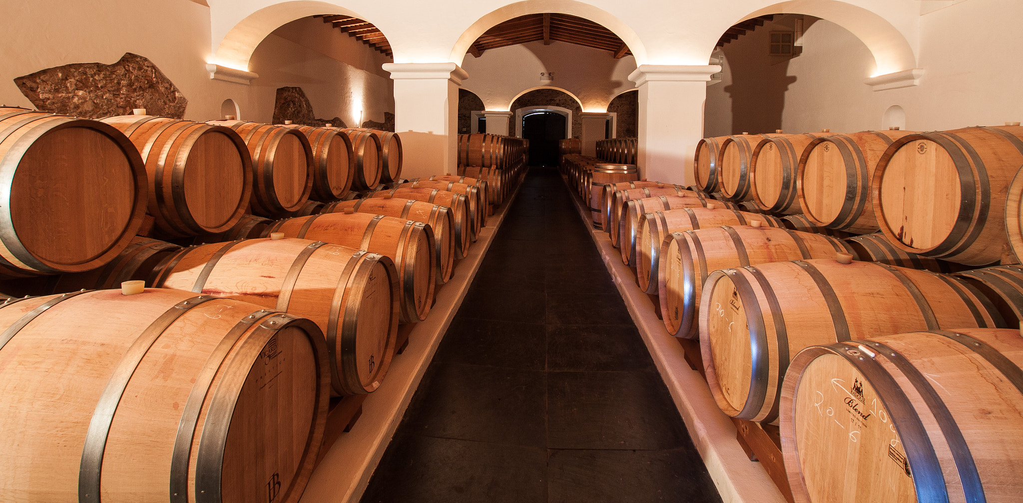 Sigma 10-20mm F3.5 EX DC HSM sample photo. Winery photography