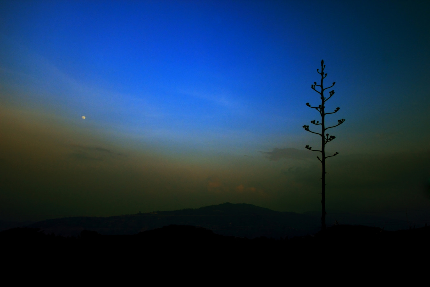 Sigma 8-16mm F4.5-5.6 DC HSM sample photo. Kathmandu, nepal photography