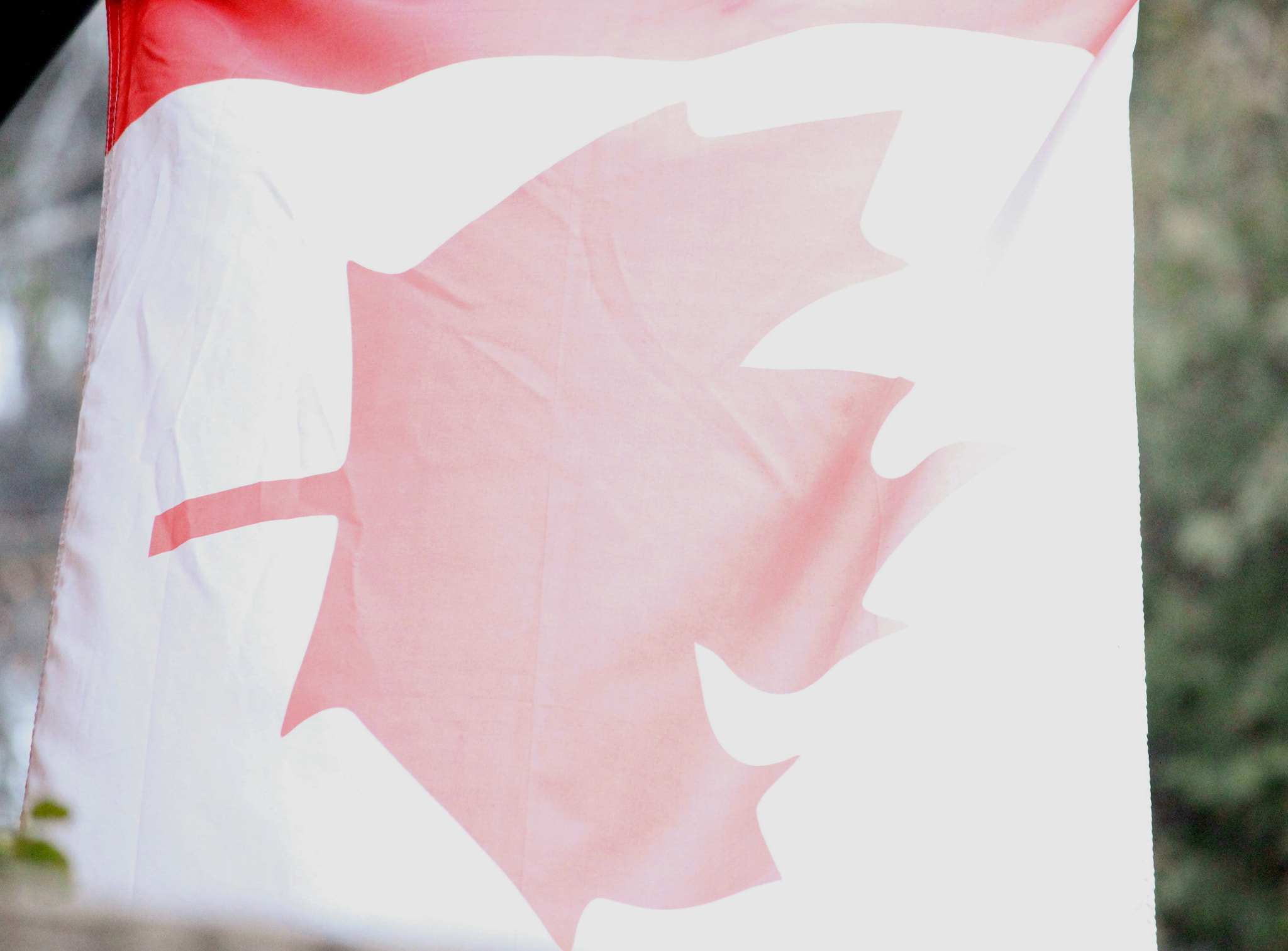 Canon EF-S 55-250mm F4-5.6 IS STM sample photo. Faded flag photography