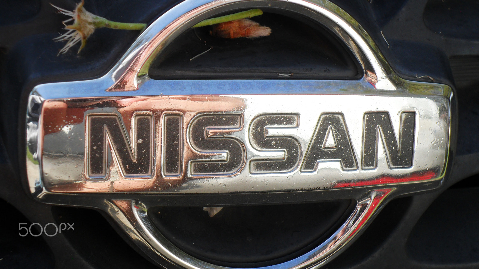 Samsung PL100 /  TL205 / VLUU PL100 /  PL101 sample photo. Nissan photography