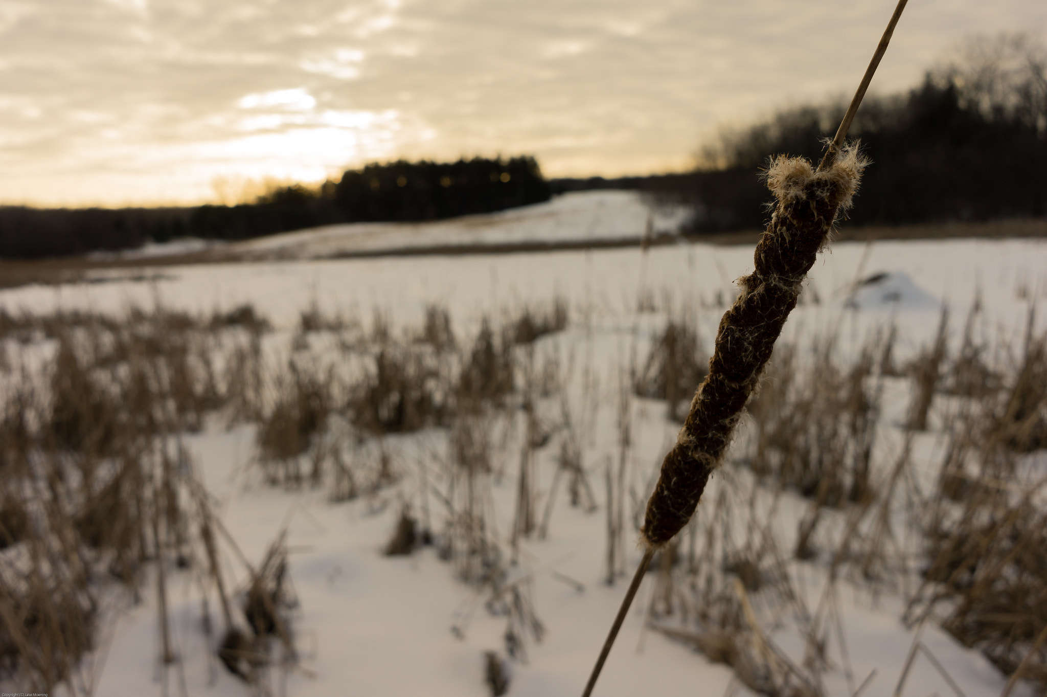 Sony Alpha a5000 (ILCE 5000) + Sony E 20mm F2.8 sample photo. Sunset at ritter photography