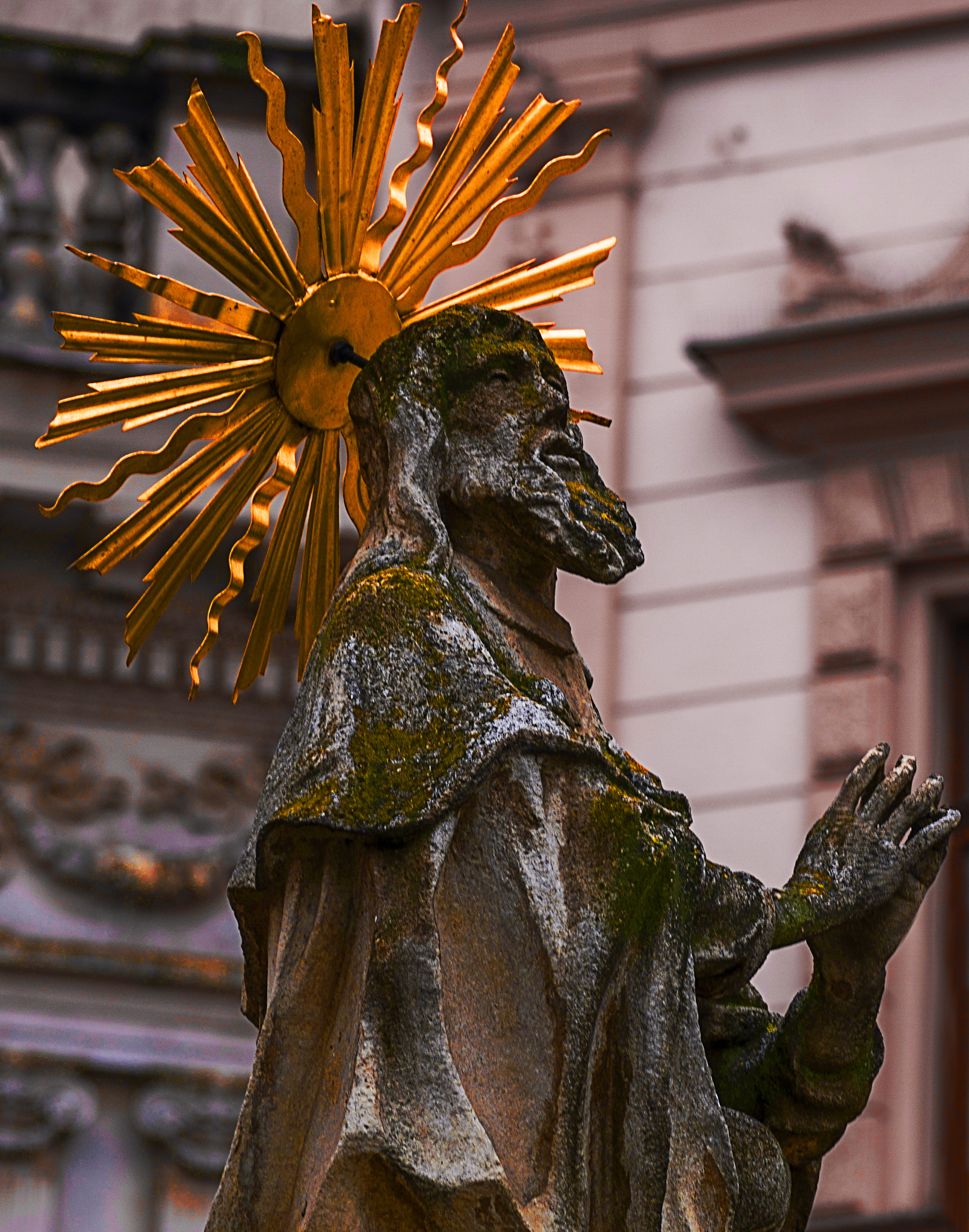 Sony 70-300mm F4.5-5.6 G SSM sample photo. Closer, my lord, to thee photography