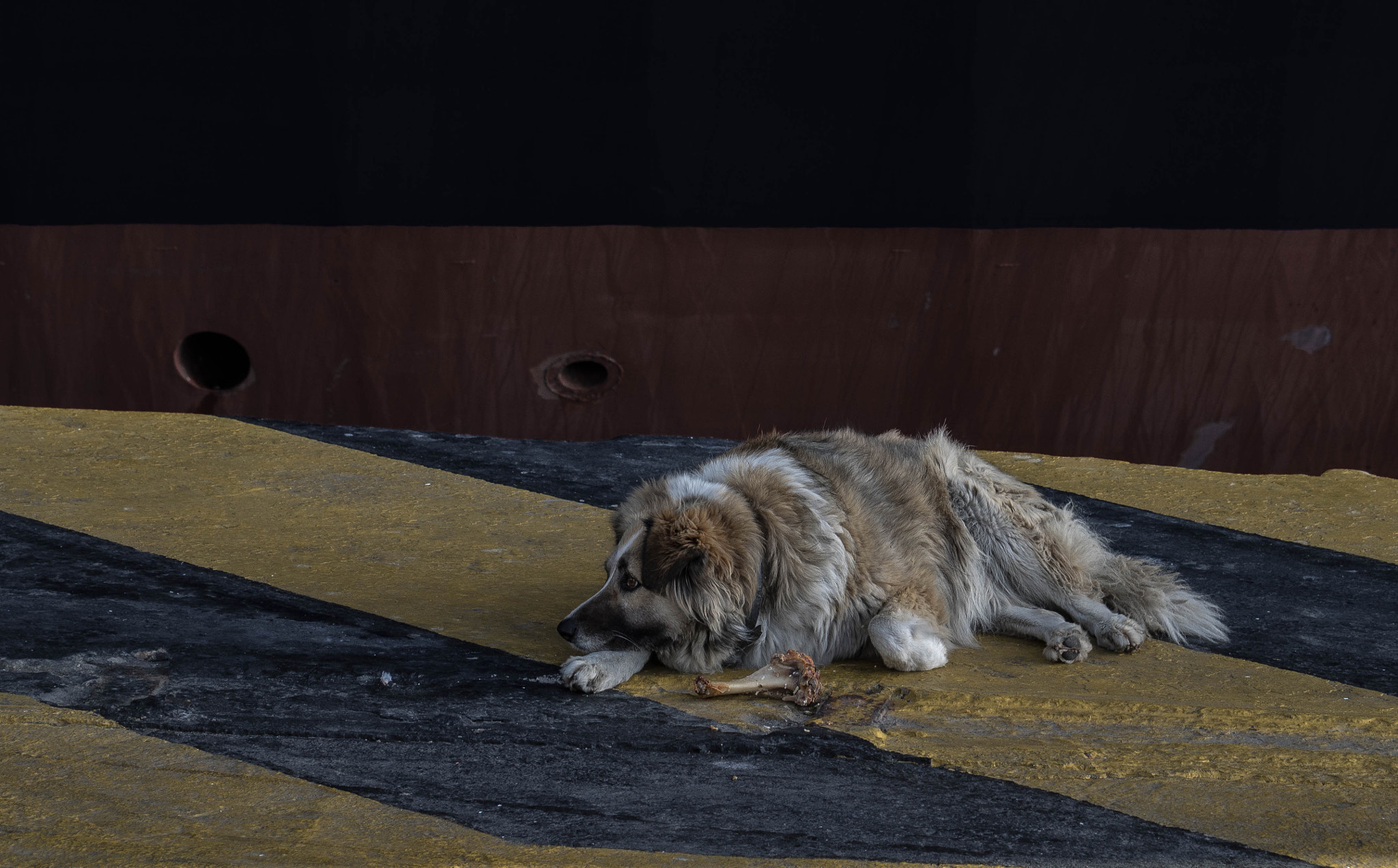 Olympus Zuiko Digital ED 40-150mm F4.0-5.6 sample photo. Waiting for his captain photography