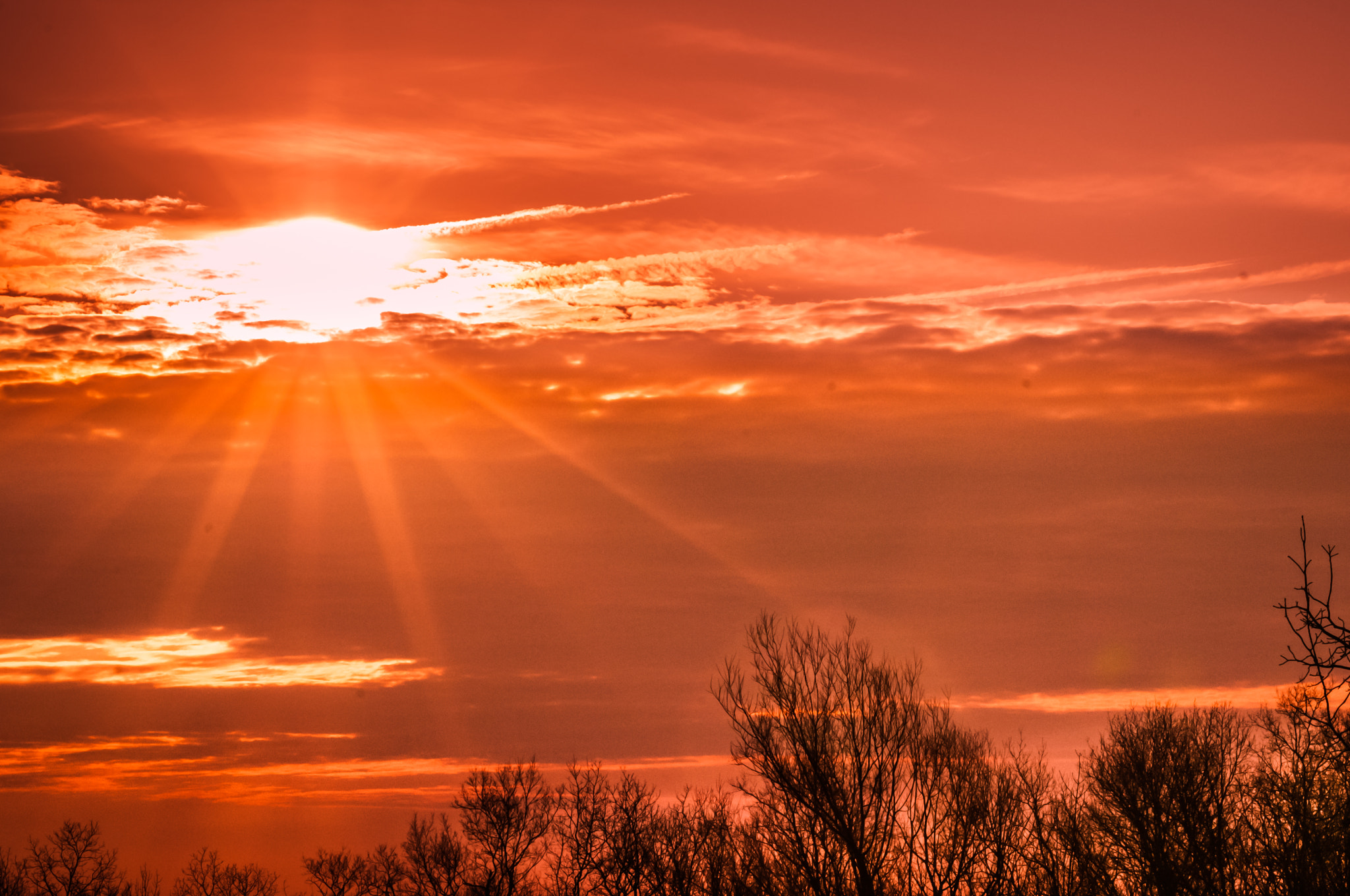 Sigma 70-300mm F4-5.6 APO DG Macro sample photo. New dawn rising photography