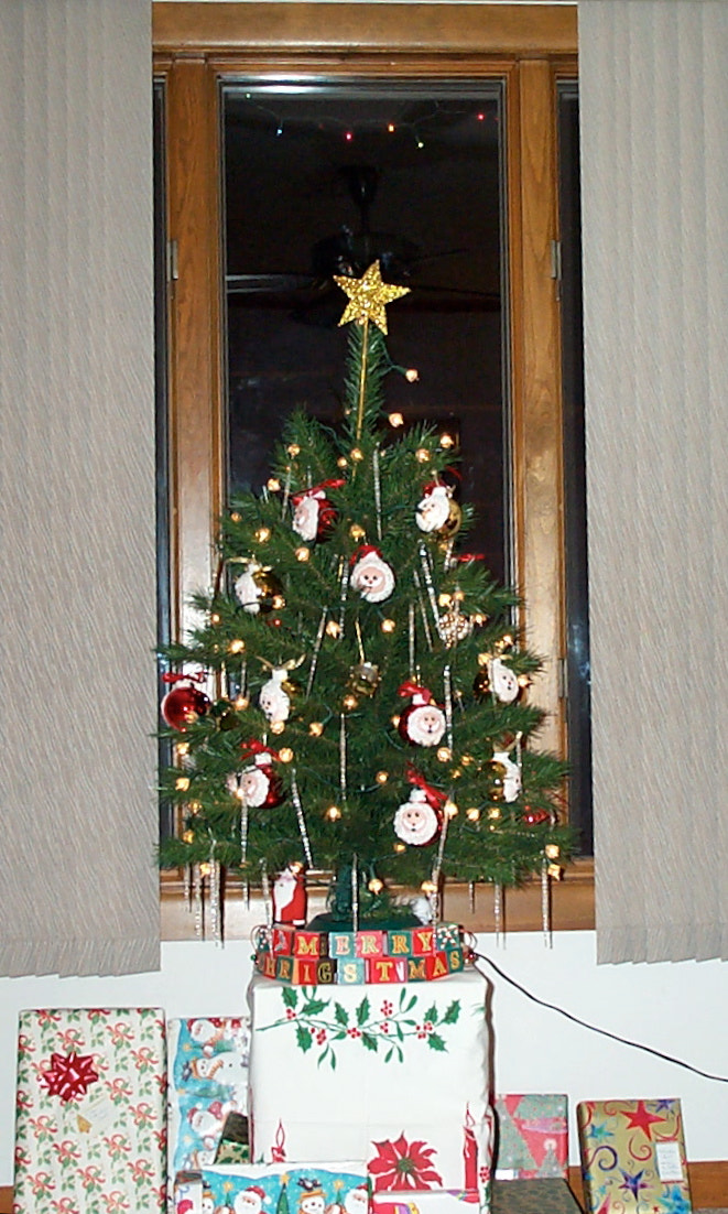 Kodak DC280 ZOOM DIGITAL CAMERA sample photo. Modest christmas scene - mom's place photography