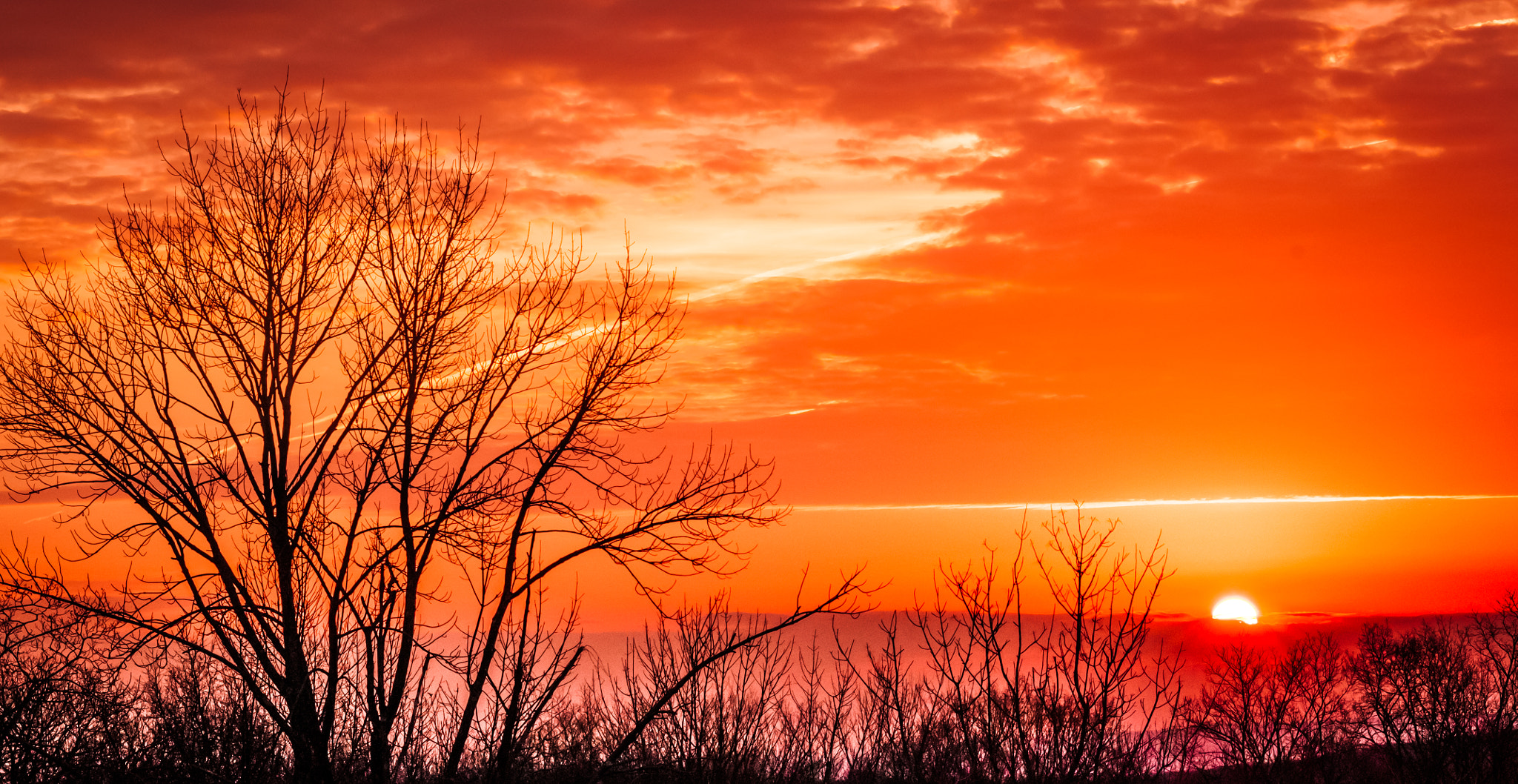 Sigma 70-300mm F4-5.6 APO DG Macro sample photo. Red dawn rising photography