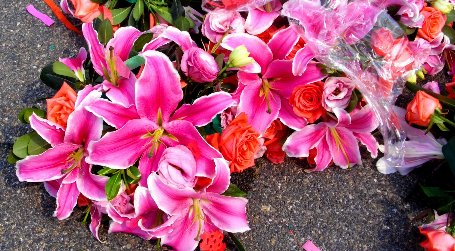 Pentax Optio E80 sample photo. Abandoned flowers(被抛弃的鲜花) photography