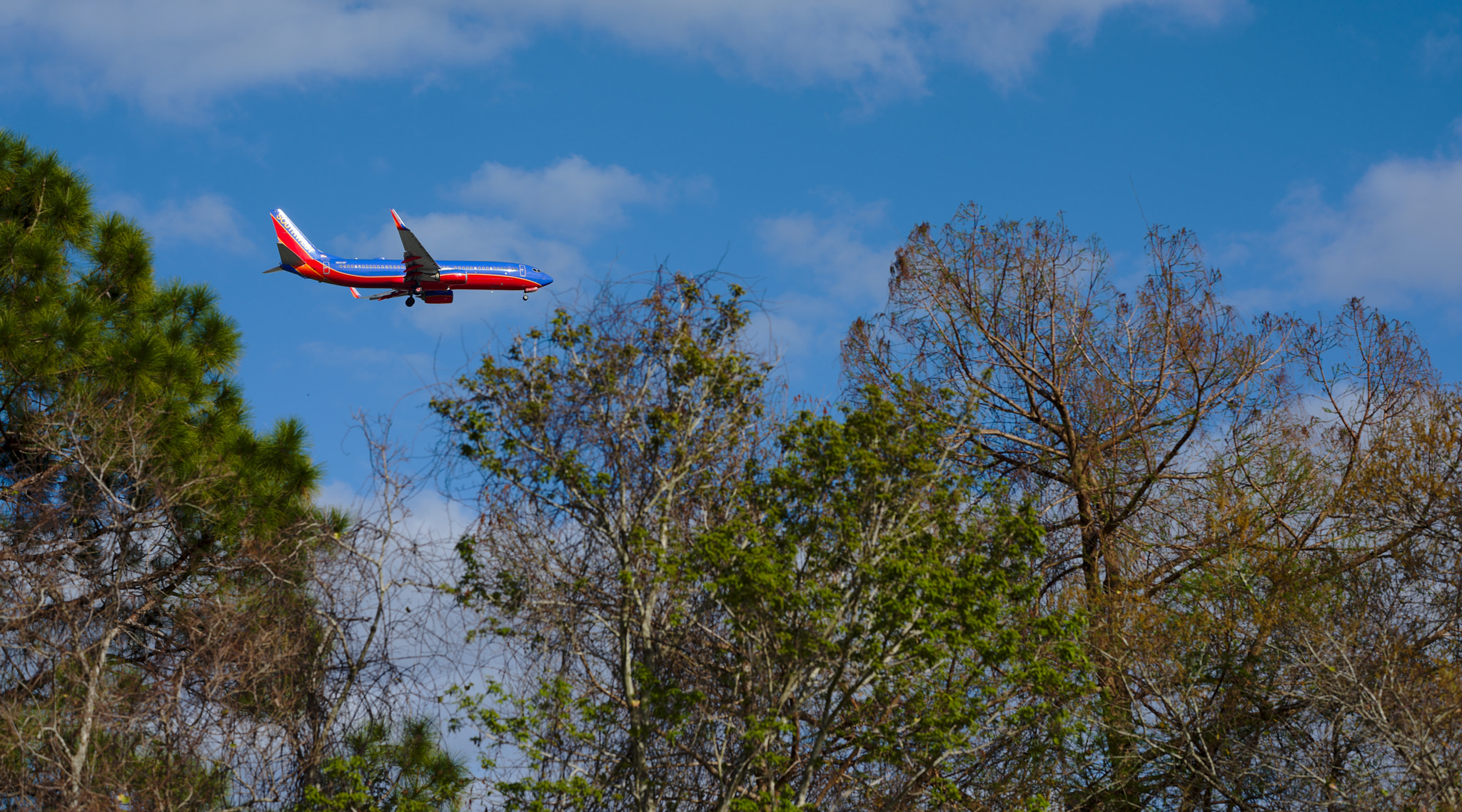 ZEISS Otus 85mm F1.4 sample photo. Ready for landing! photography