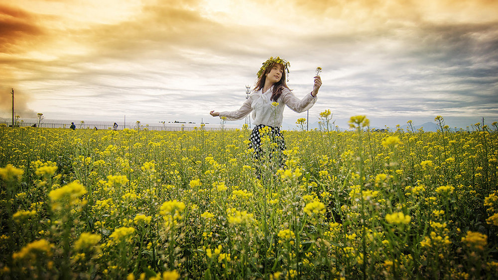 Tokina AT-X Pro 12-24mm F4 (IF) DX sample photo. The sun for photography