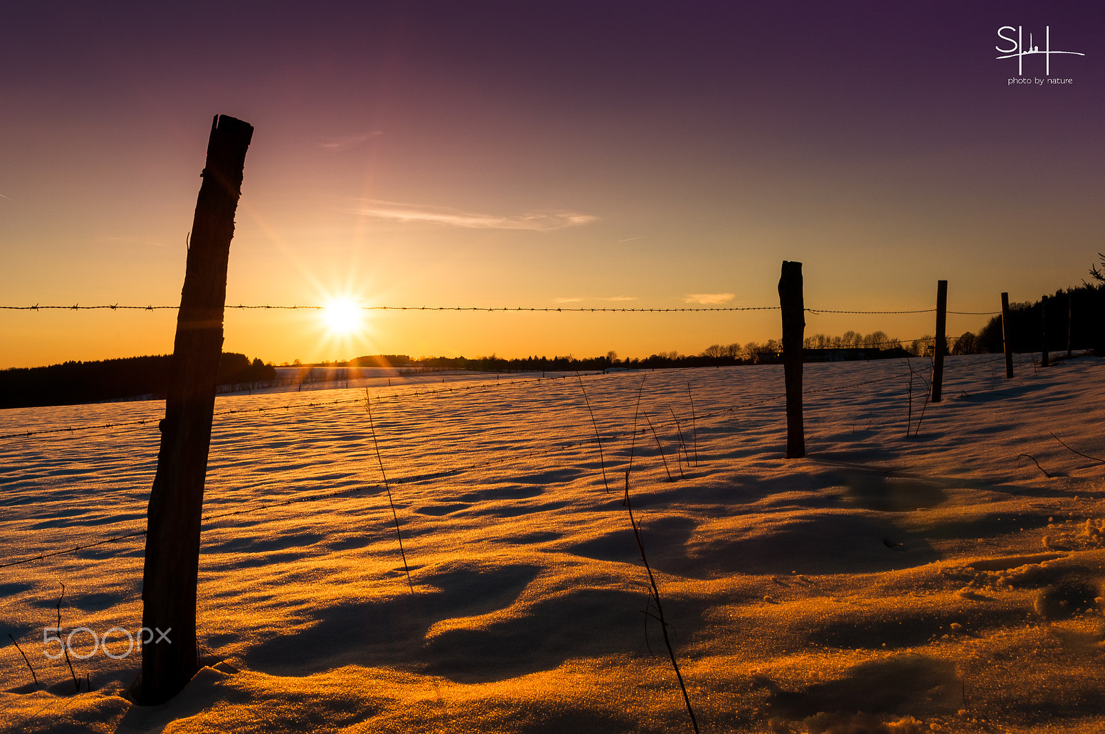 Sigma 18-50mm F2.8-4.5 DC OS HSM sample photo. Schneefeld photography