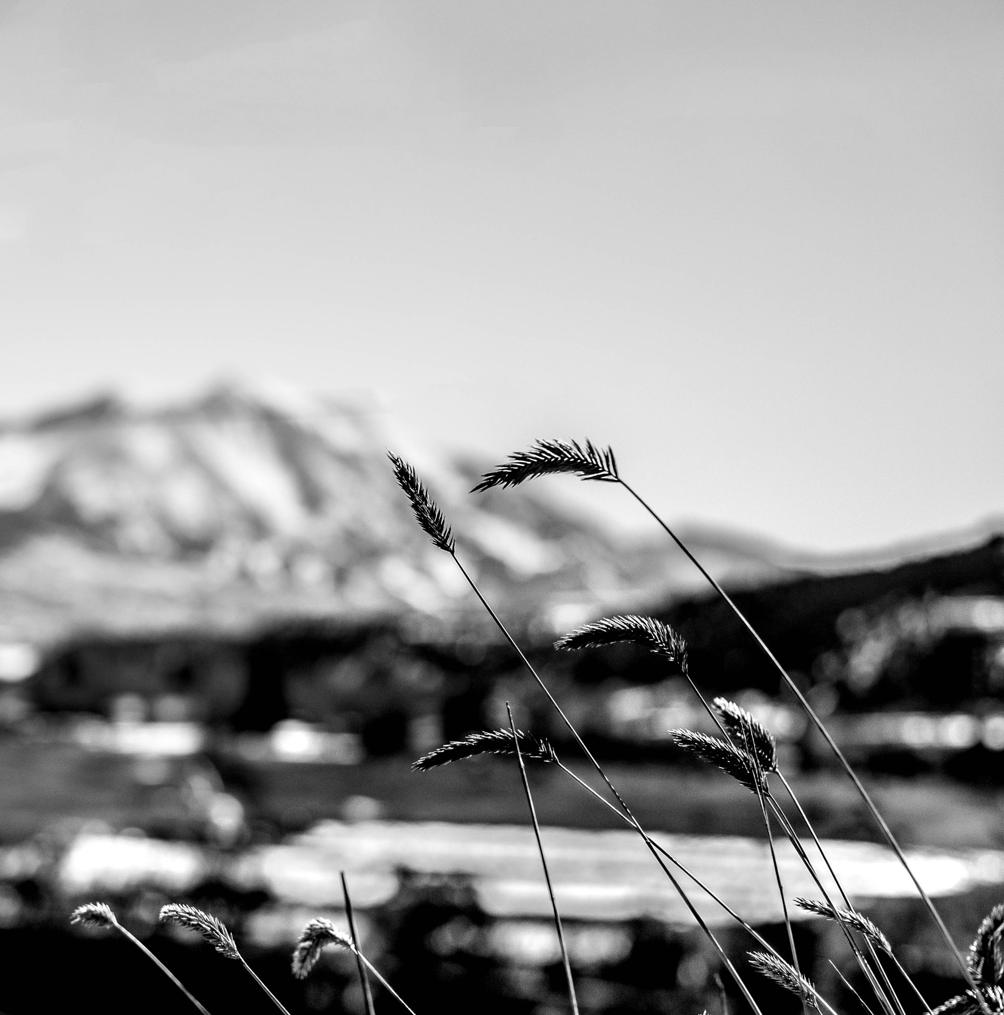 Canon EF 40mm F2.8 STM sample photo. Pause. photography