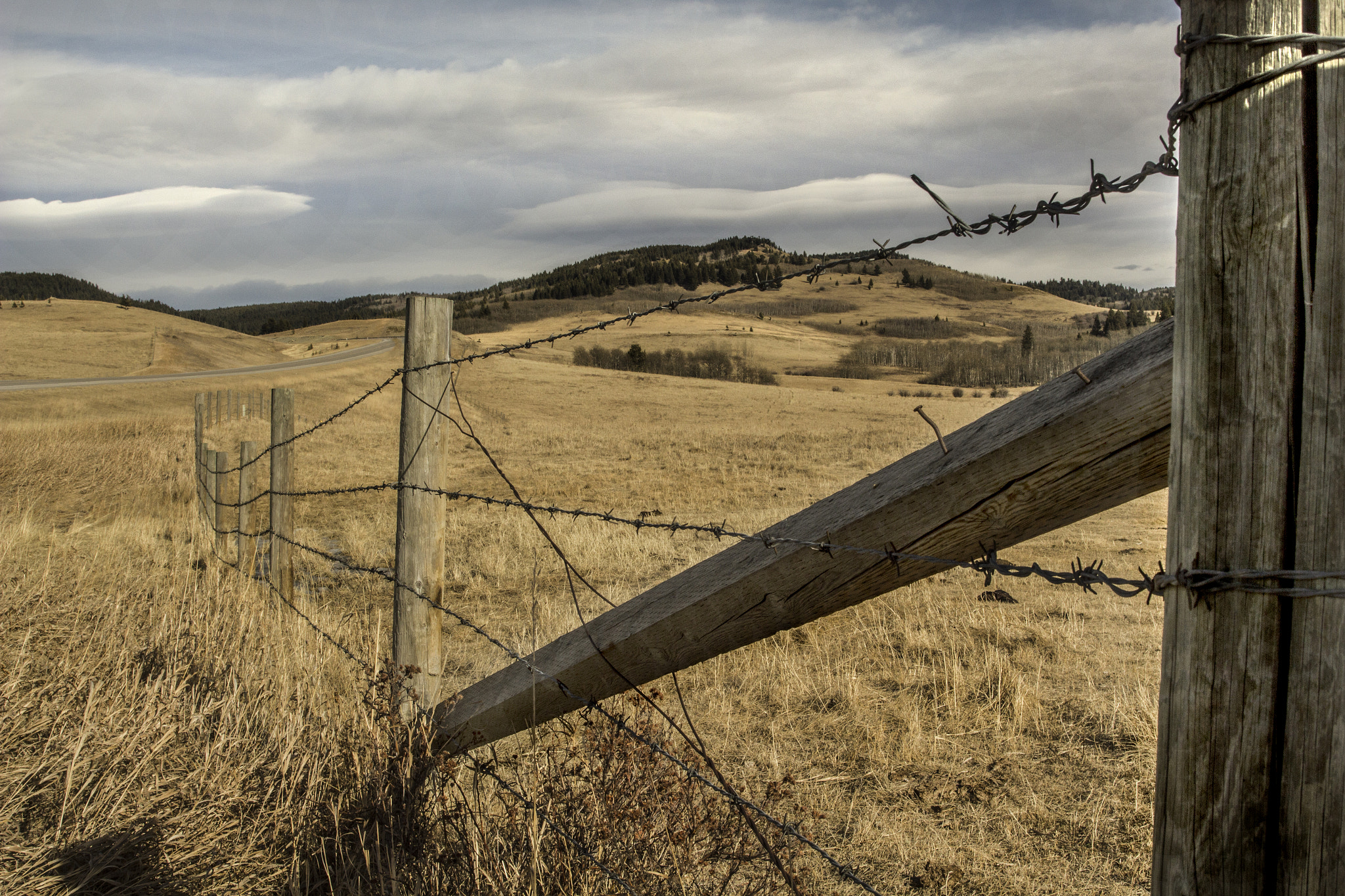Canon EOS 550D (EOS Rebel T2i / EOS Kiss X4) sample photo. The foothills photography