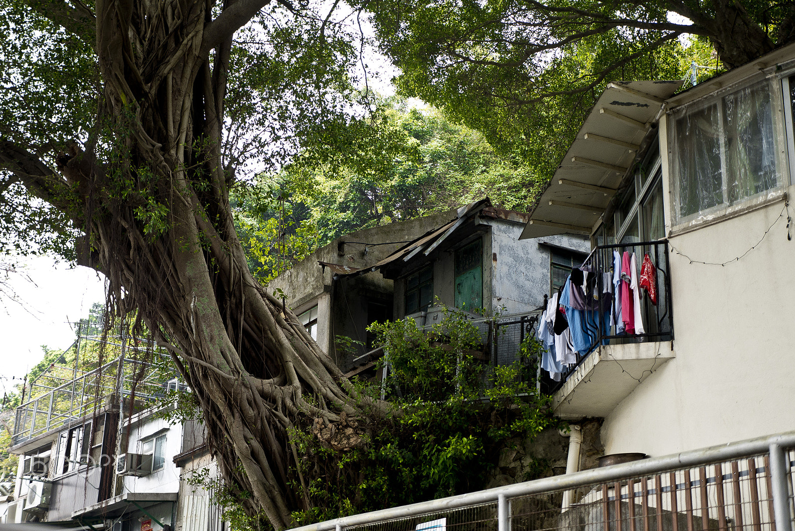 Panasonic Lumix DMC-G7 sample photo. Hongkong tai o village photography