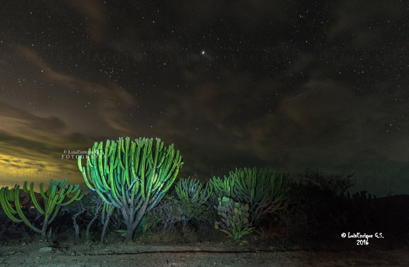 Canon EF-S 10-22mm F3.5-4.5 USM sample photo. Recorrido a las estrellas – reserva de la biósfera tehuacán - cuicatlán - san juan raya – puebla photography