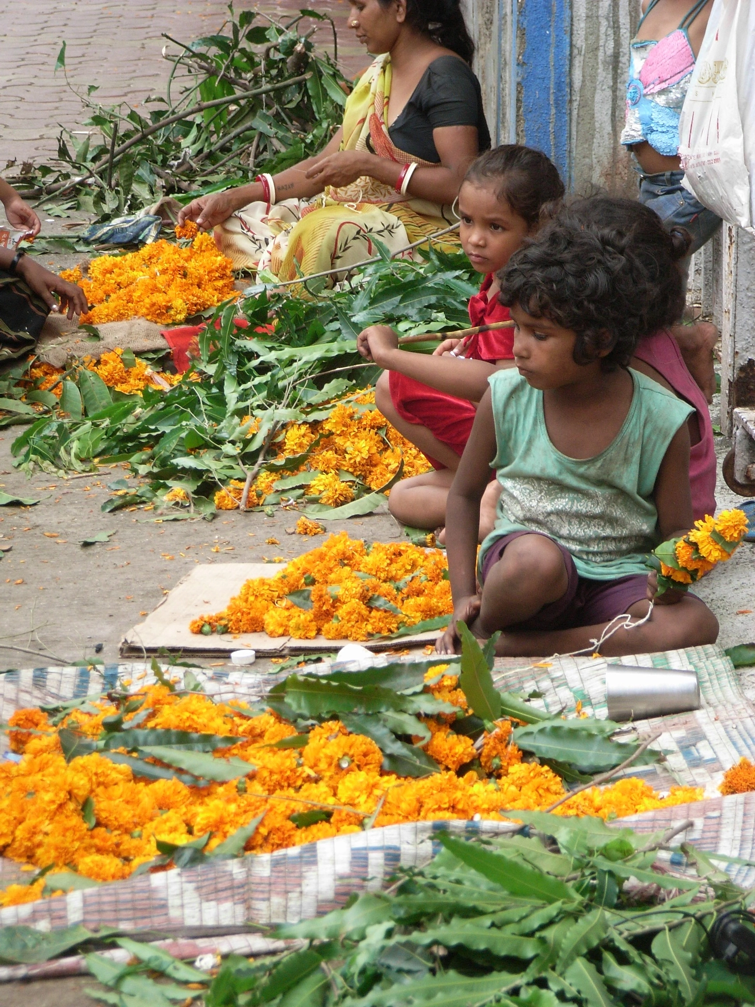 Ricoh Caplio R5 sample photo. Marigolds for sale photography